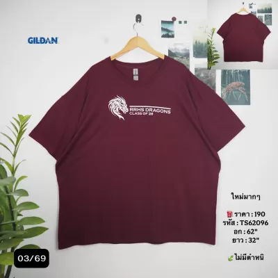 TS62096