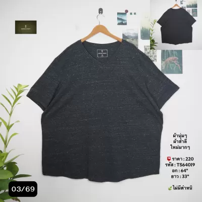 TS64019