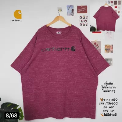 TS66001