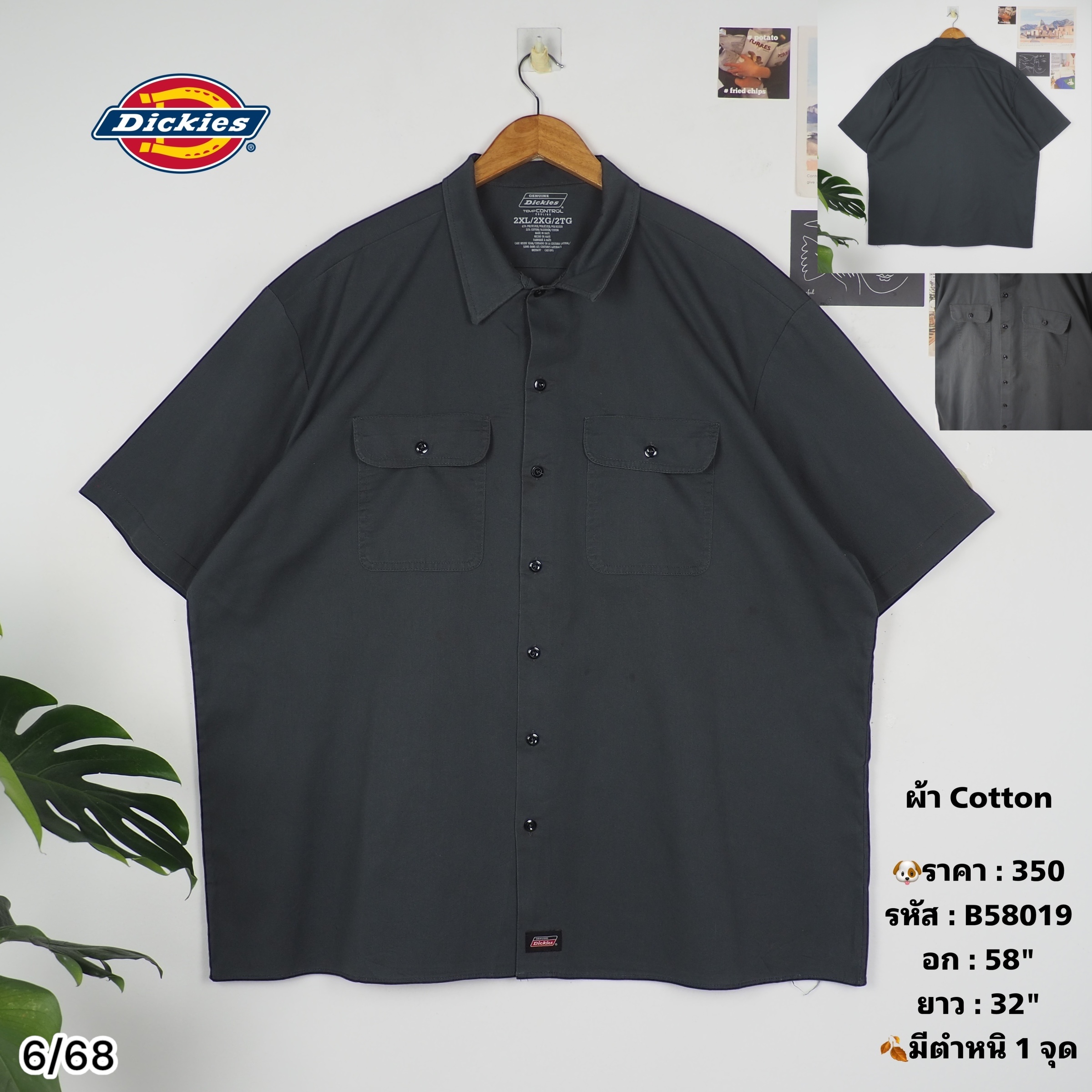 B58019