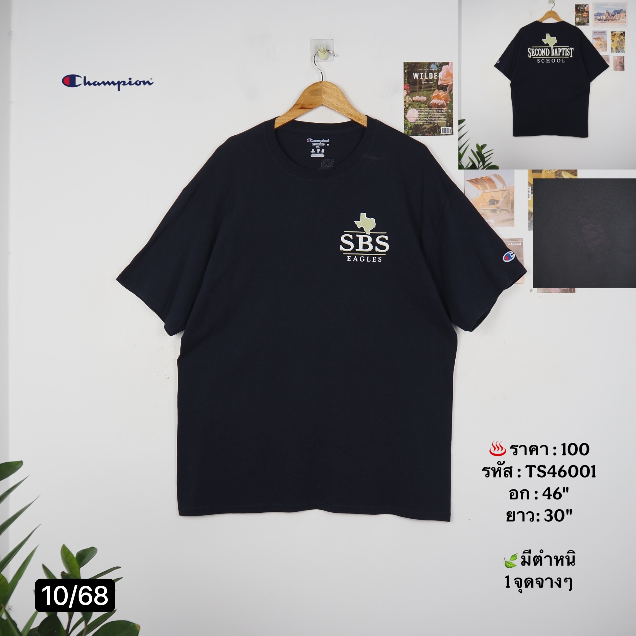 TS46001