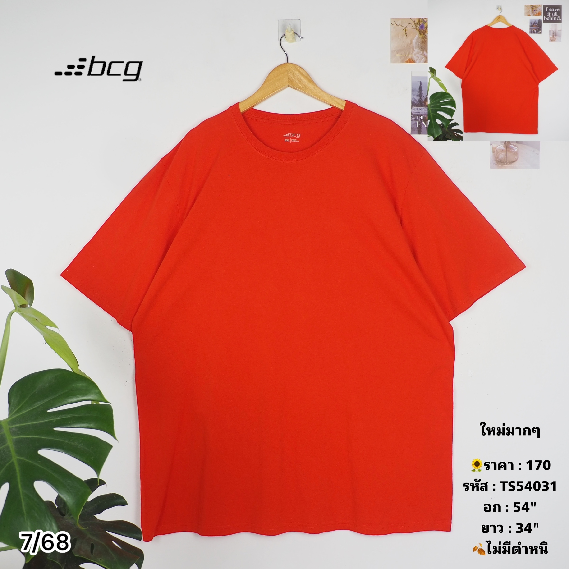 TS54031