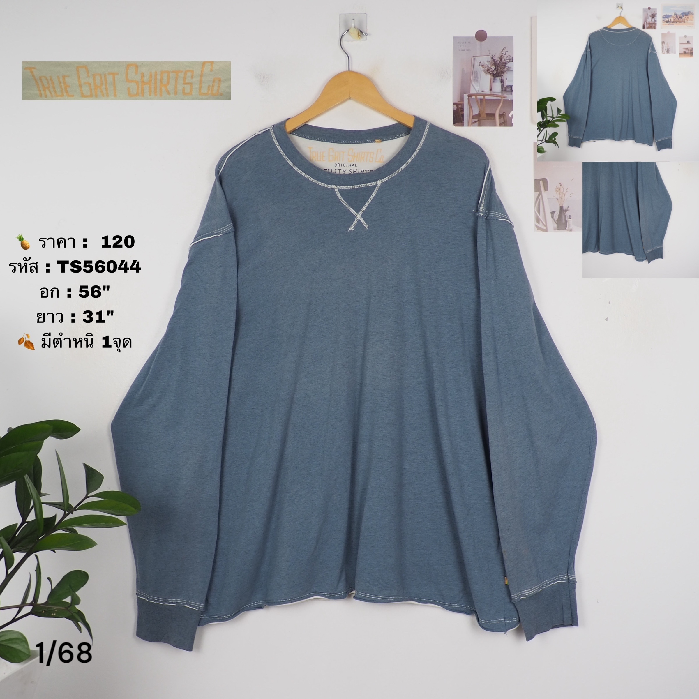 TS56044