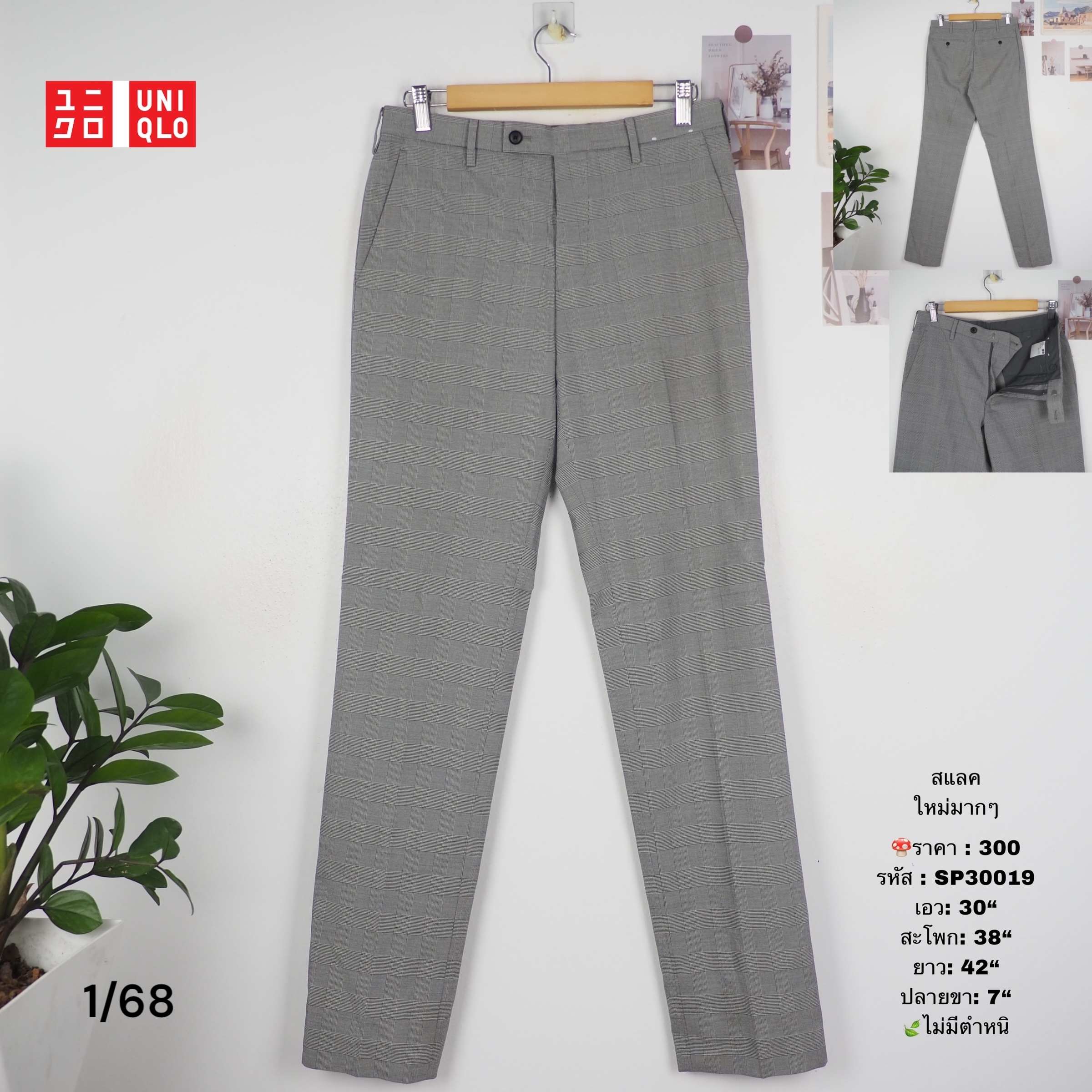 SP30019
