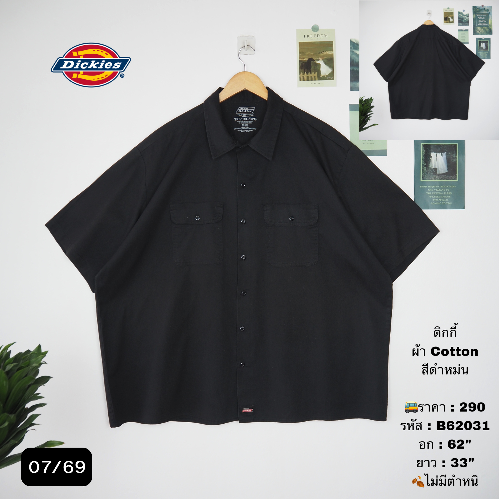 B62031