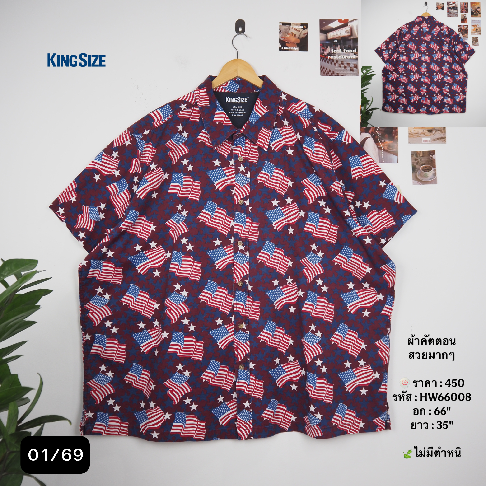 HW66008