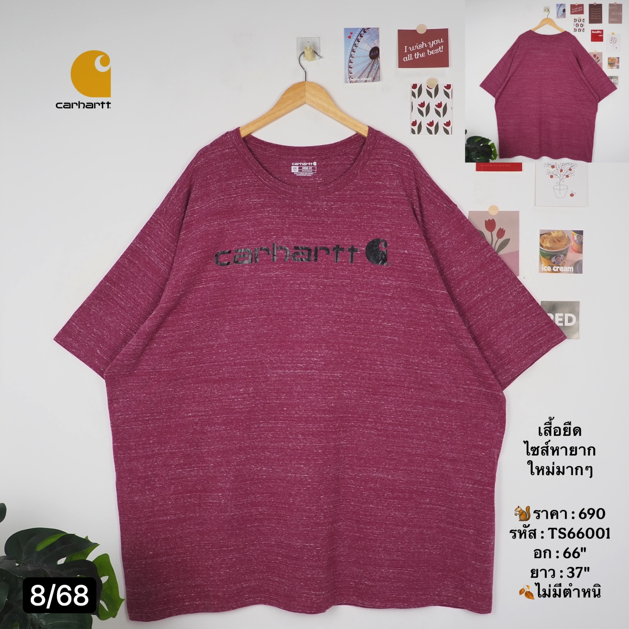 TS66001