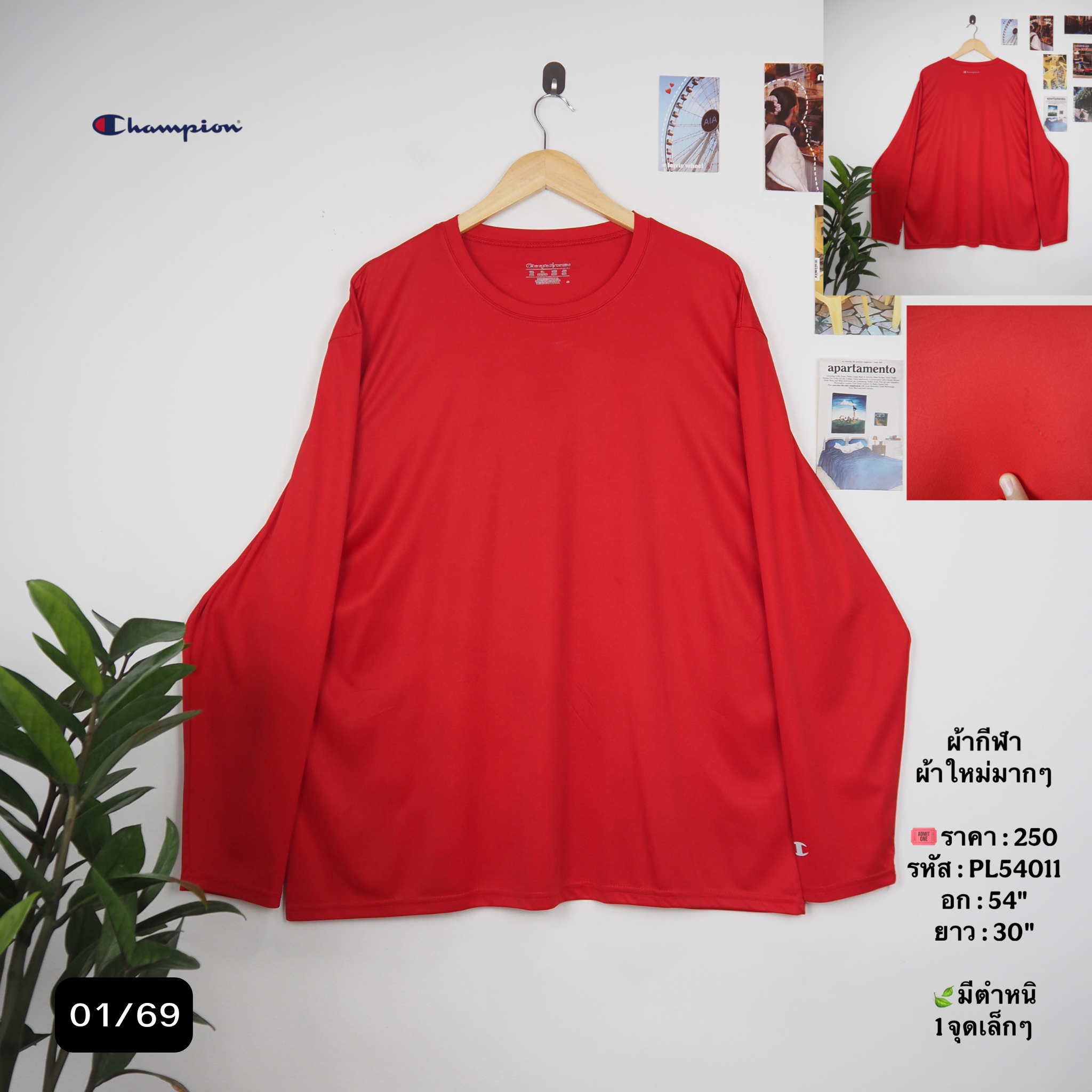 PL54011