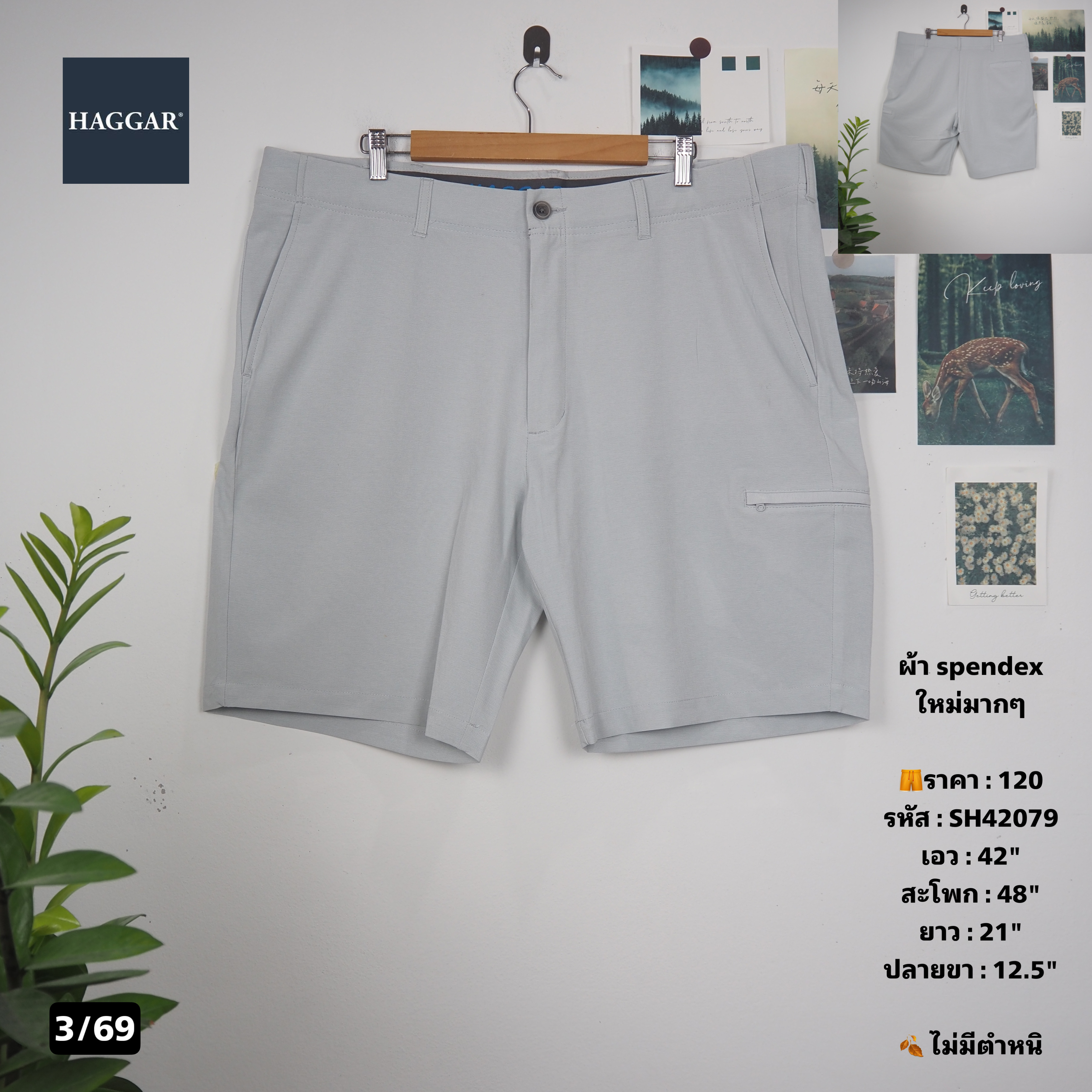 SH42079