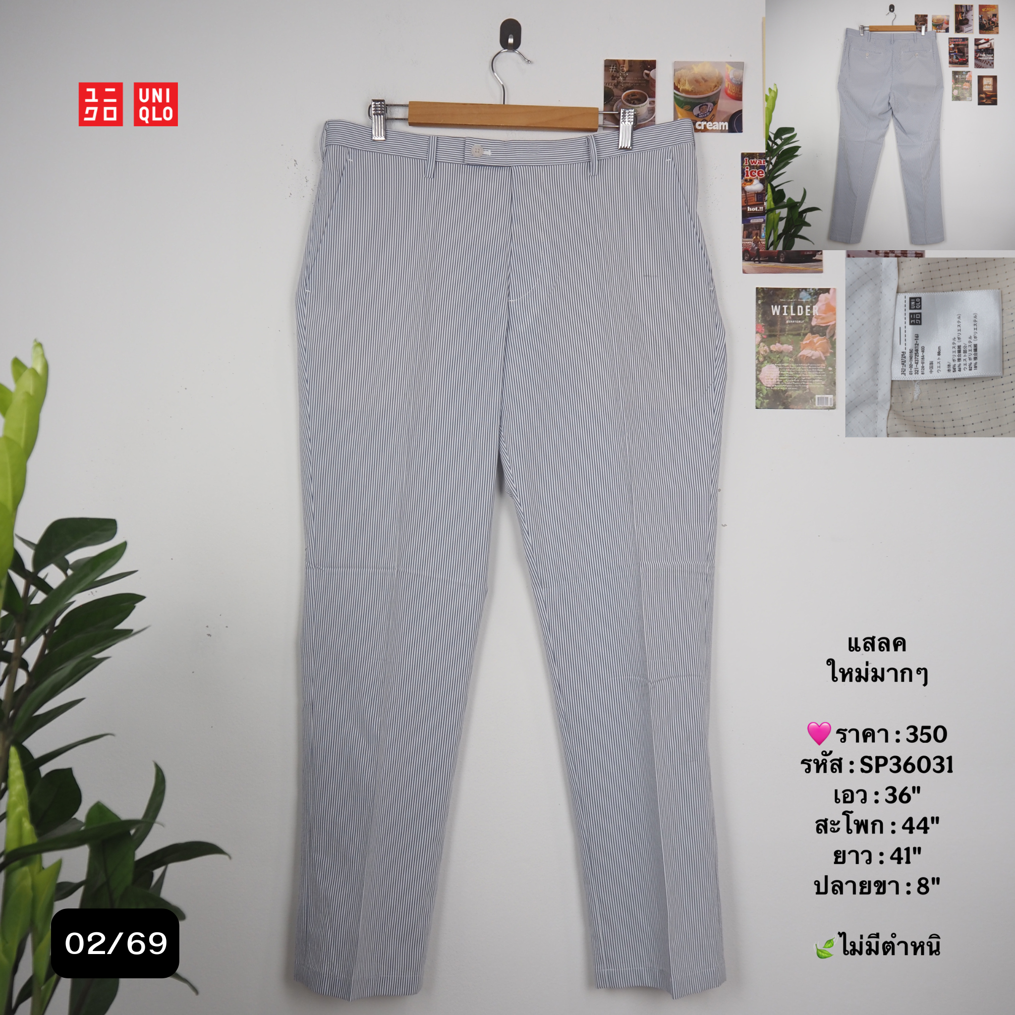 SP36031