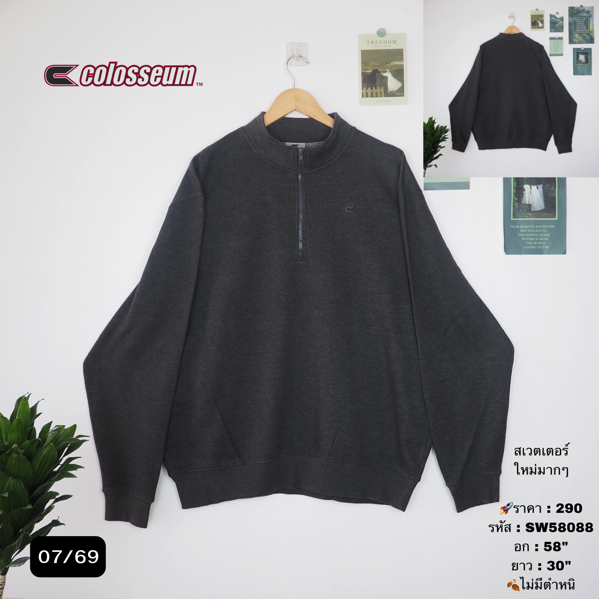 SW58088