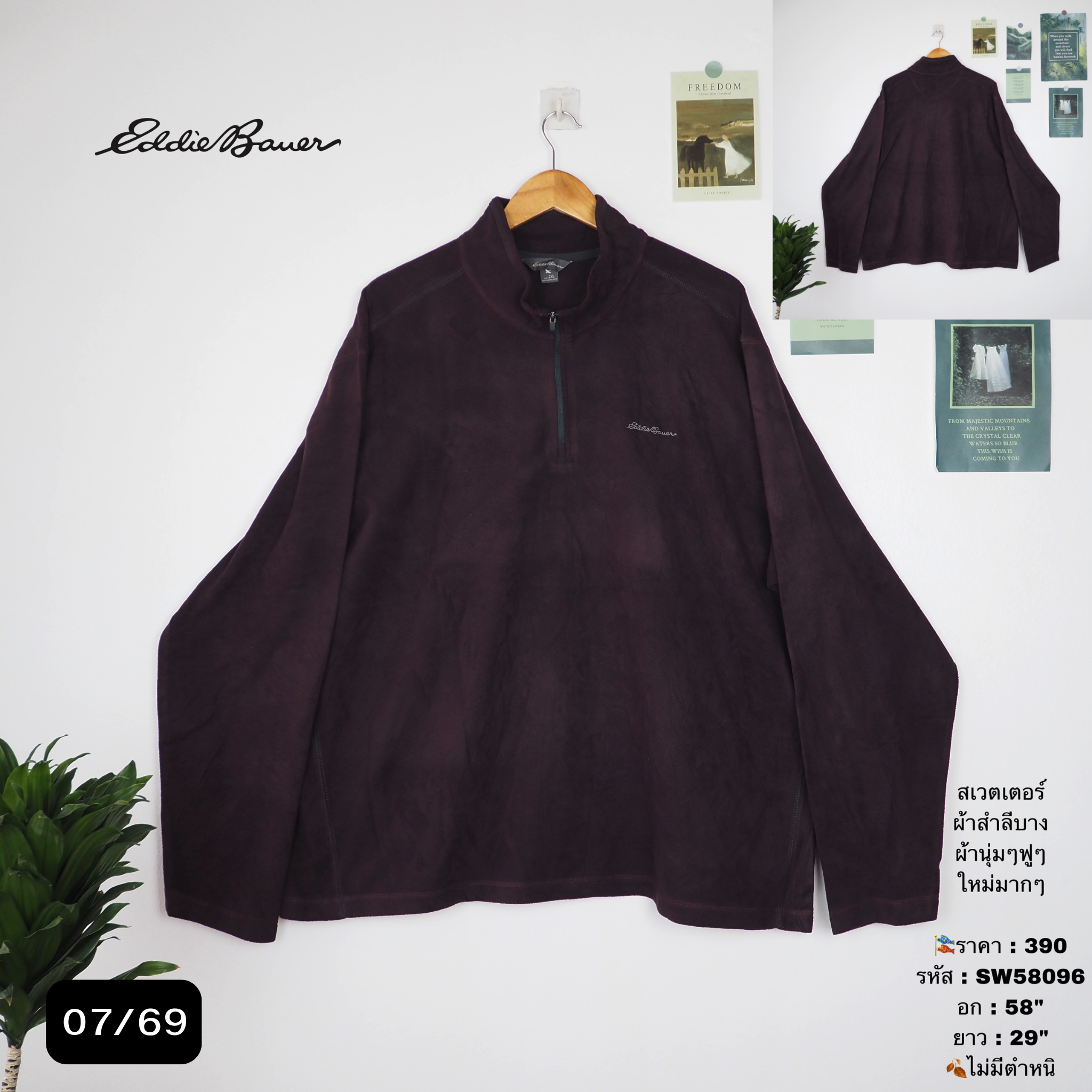 SW58096