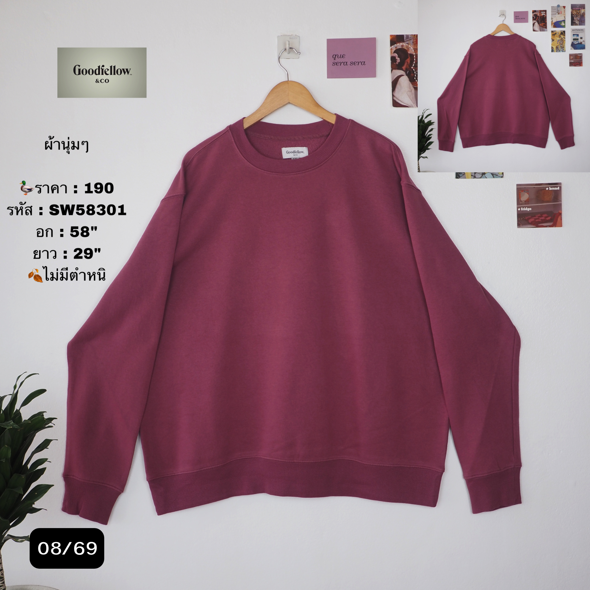 SW58301