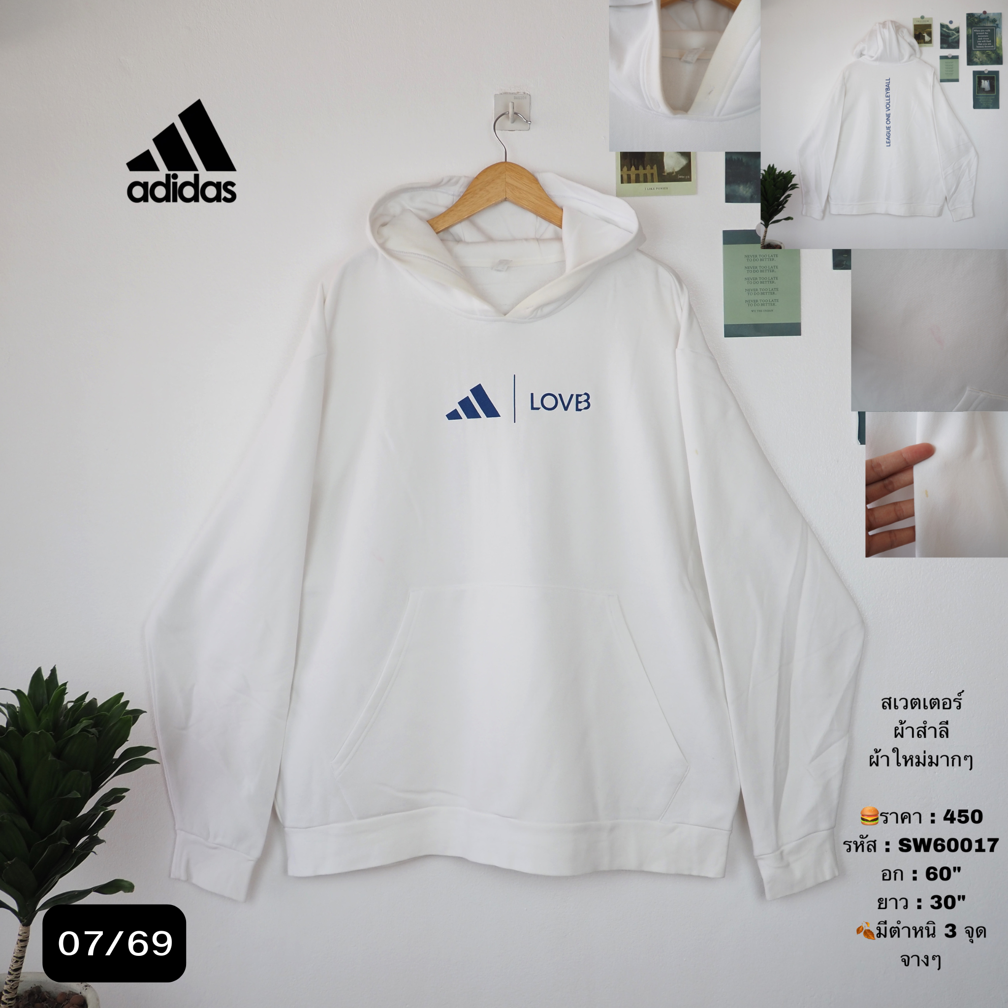 SW60017