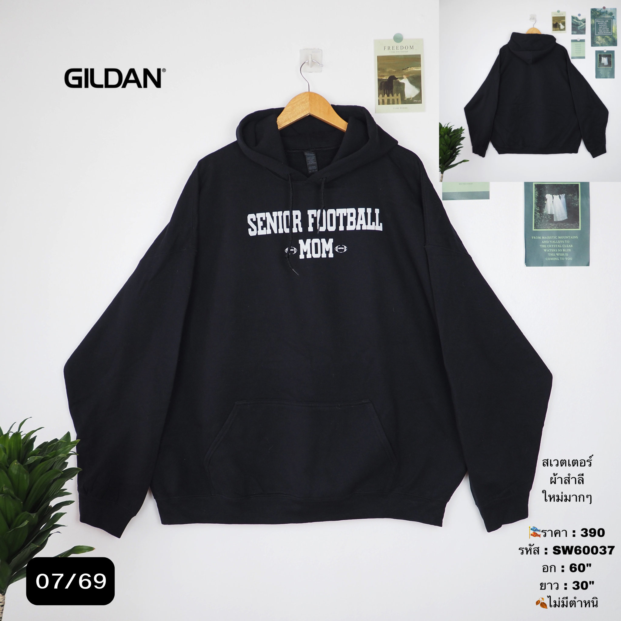 SW60037