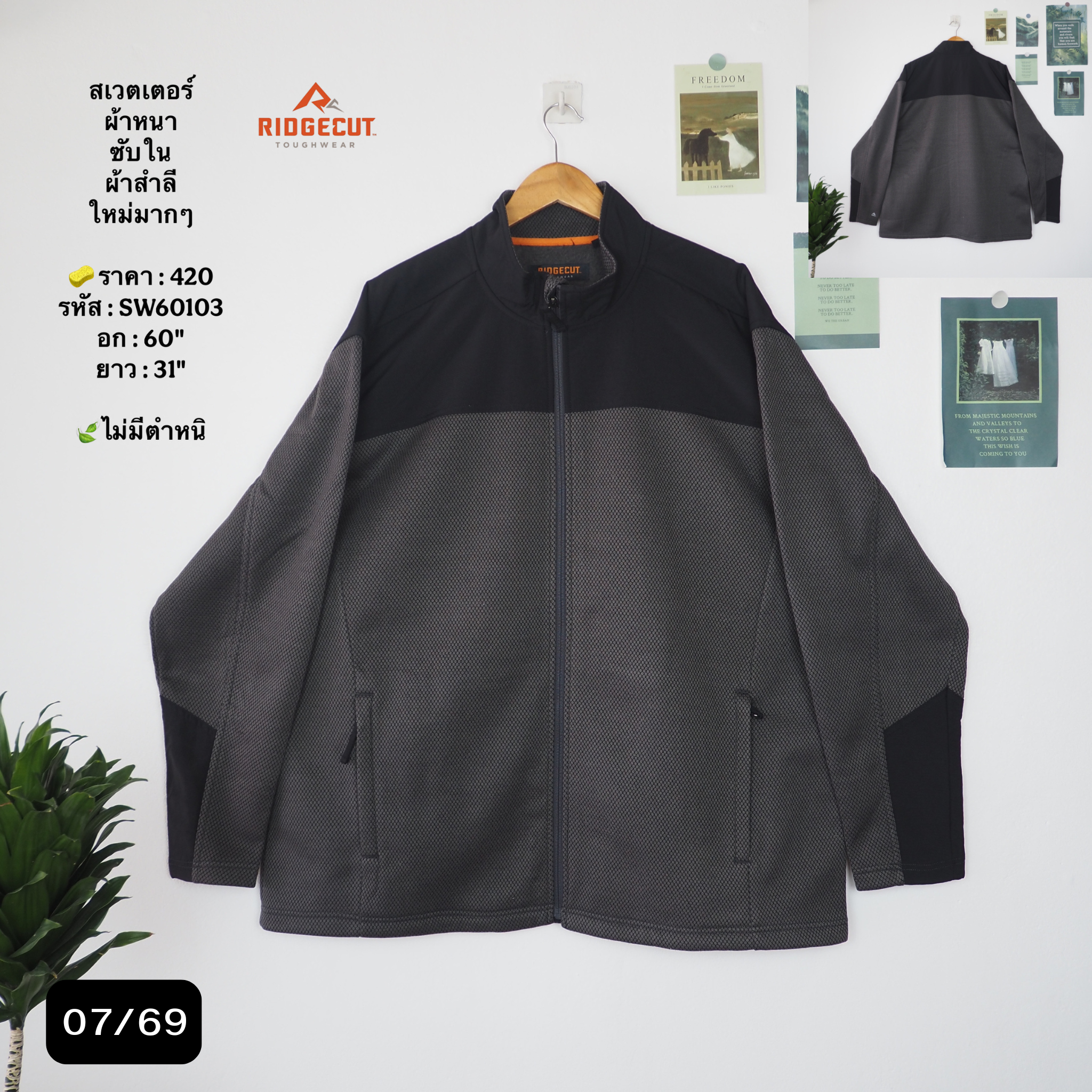 SW60103