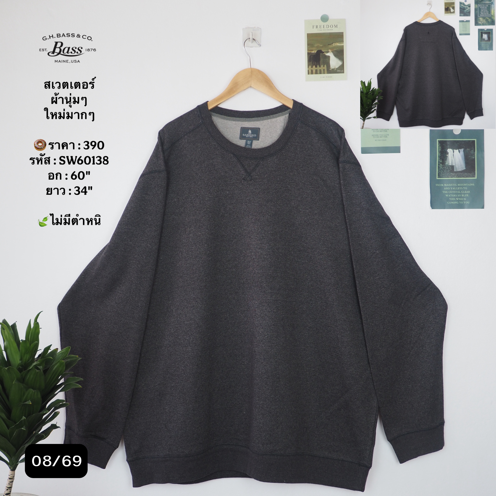 SW60138