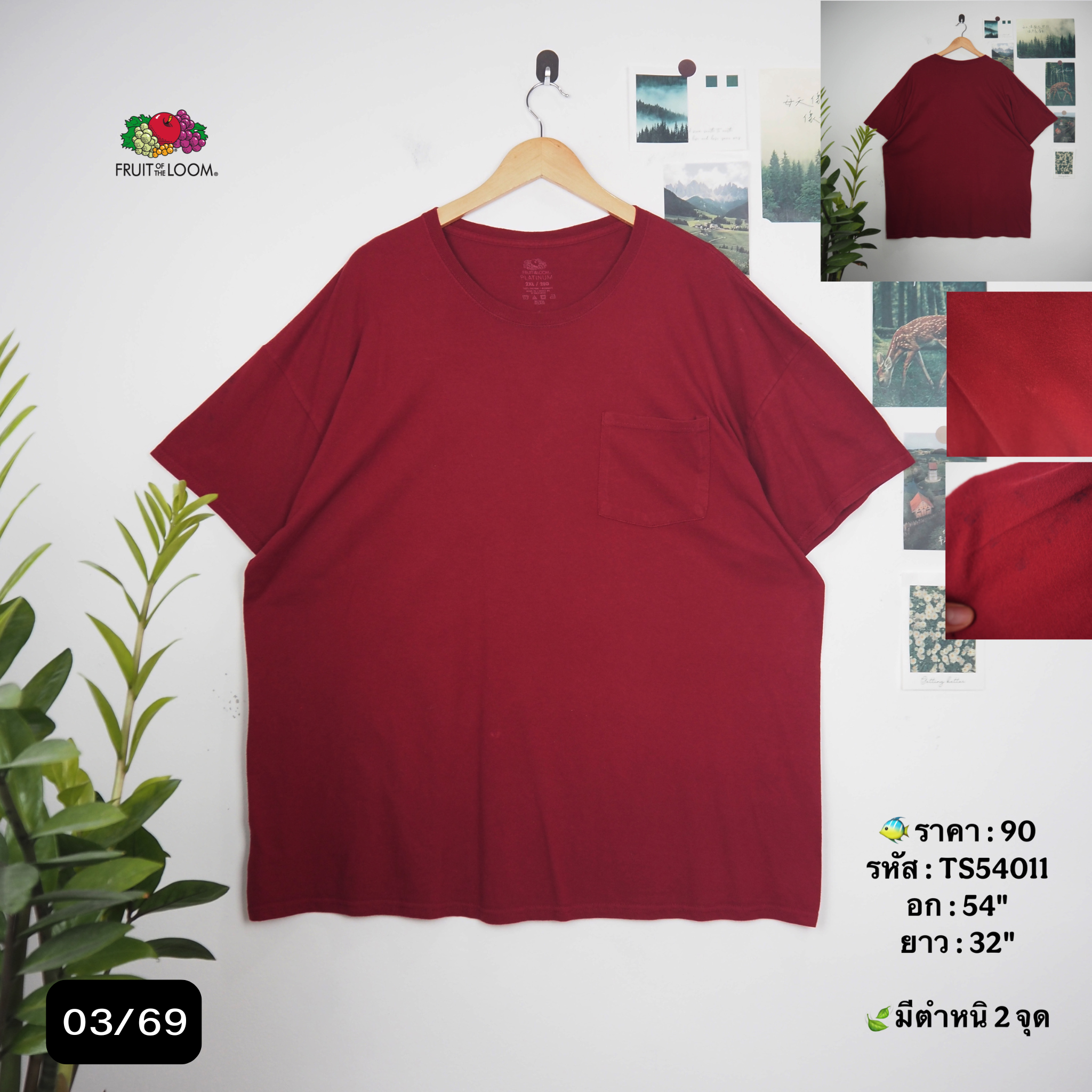 TS54011