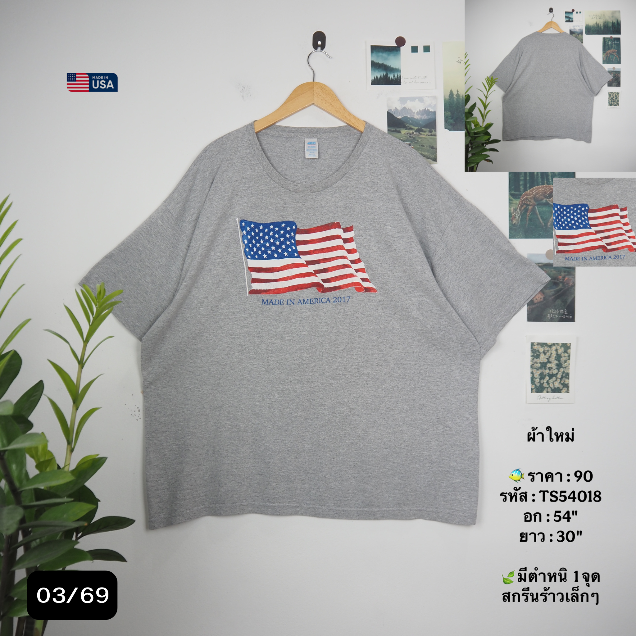 TS54018