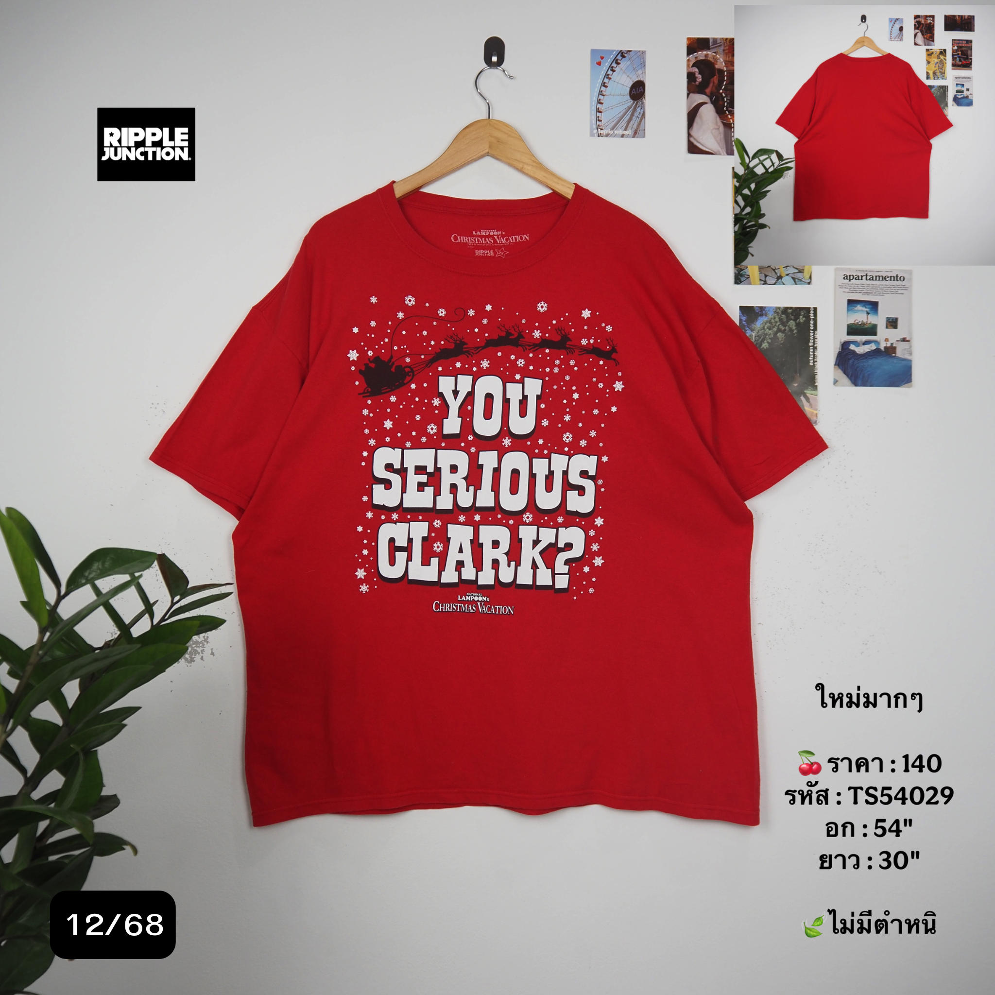 TS54029