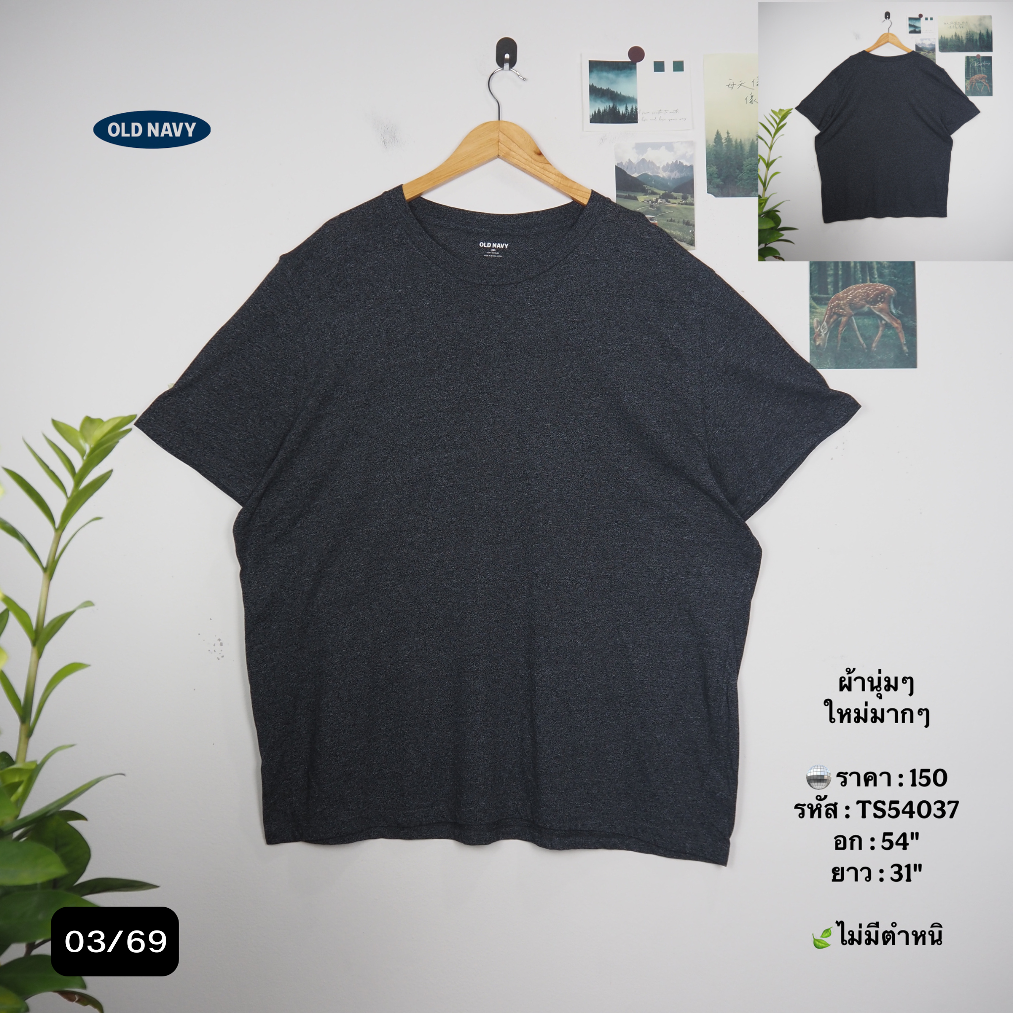TS54037