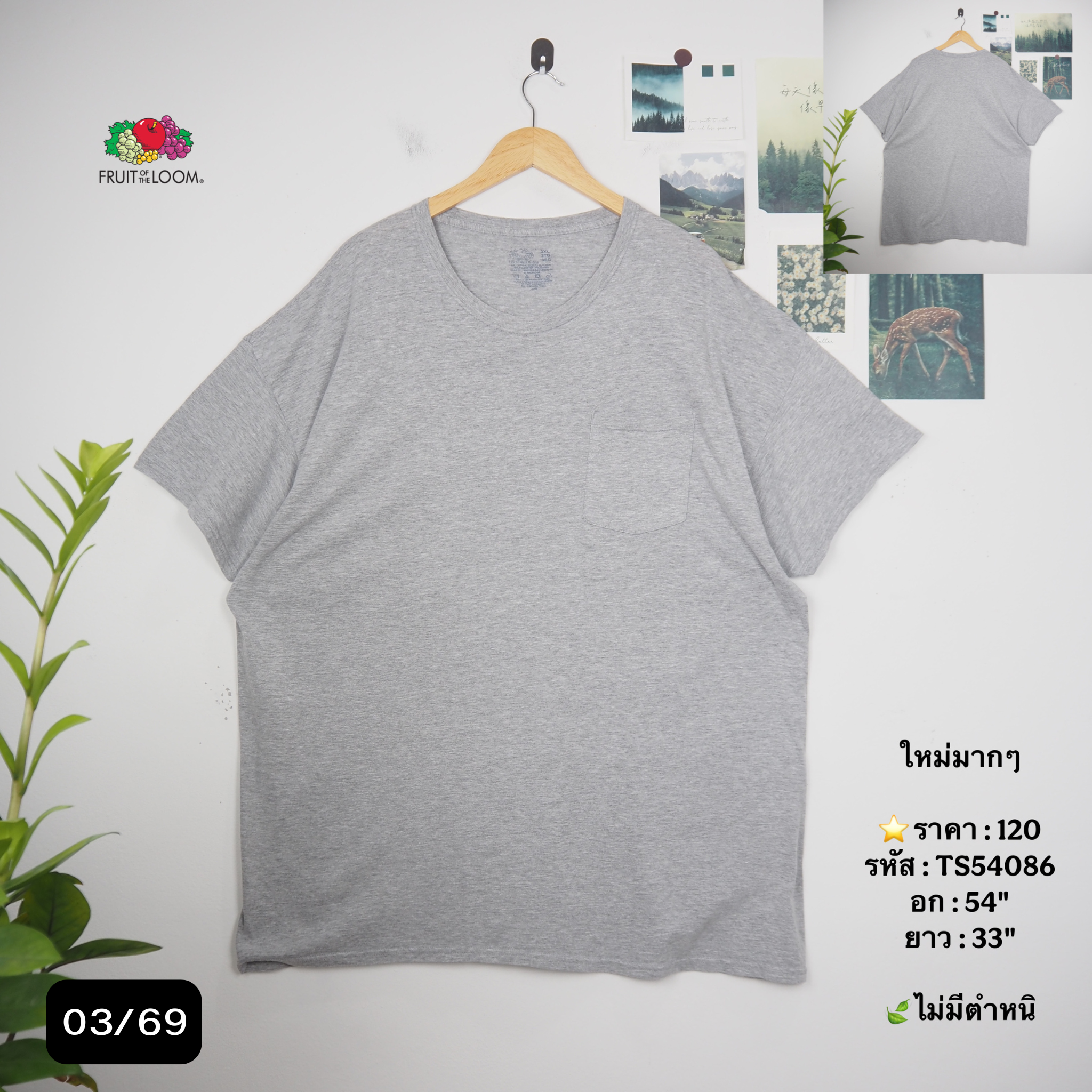 TS54086