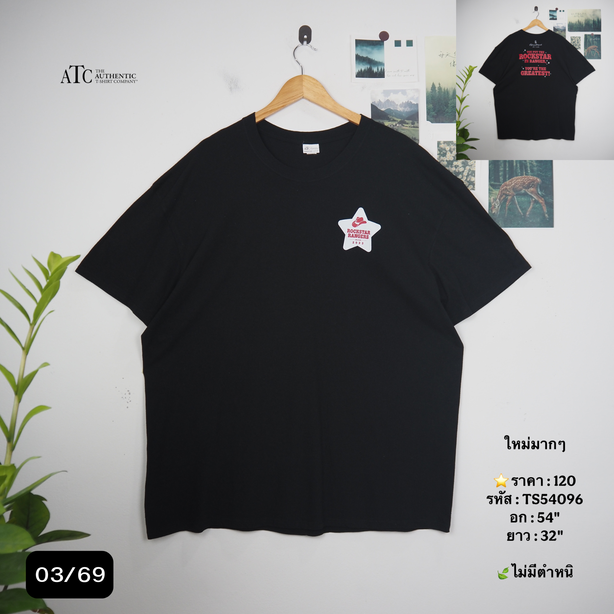TS54096