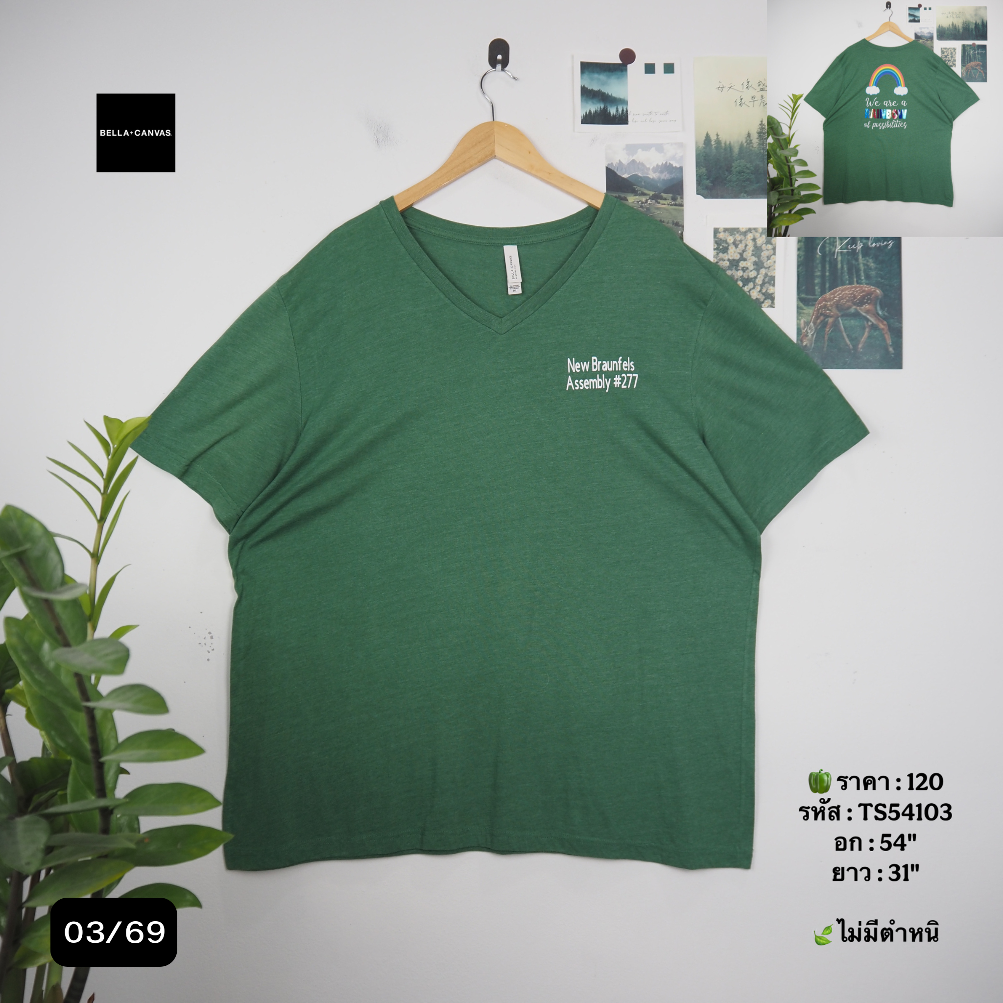 TS54103