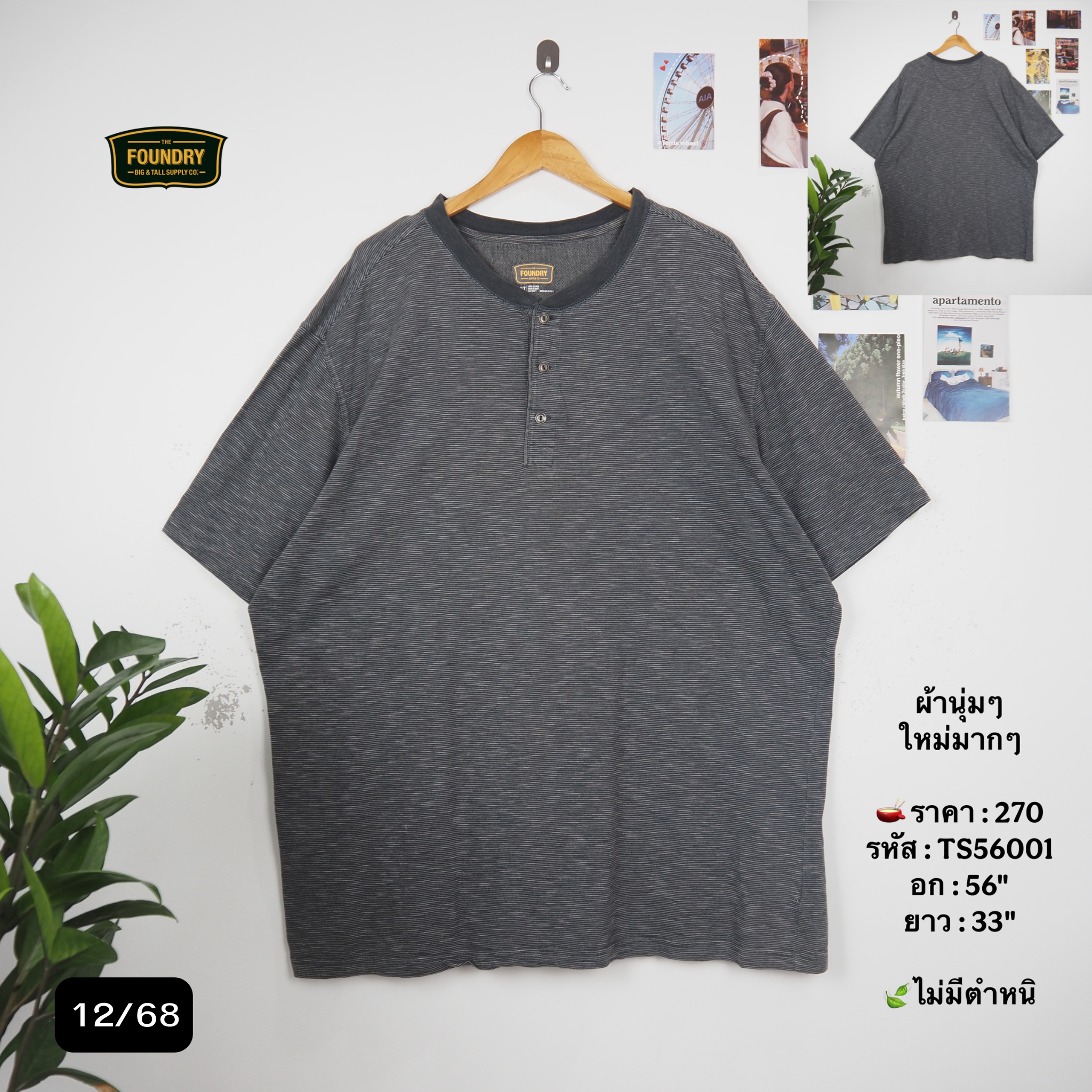TS56001