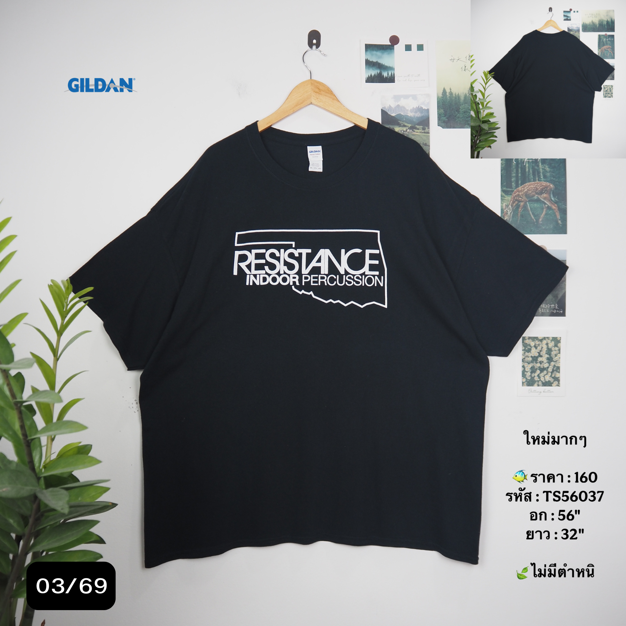 TS56037