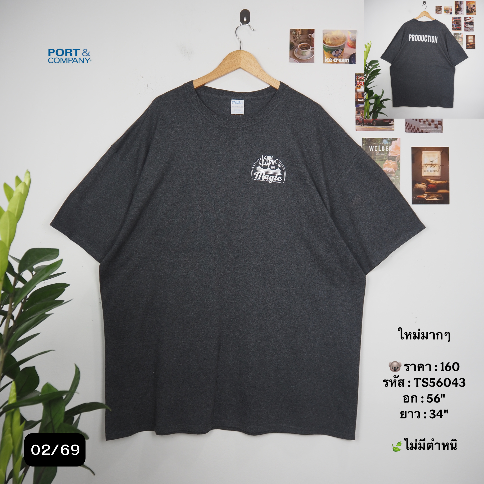 TS56043