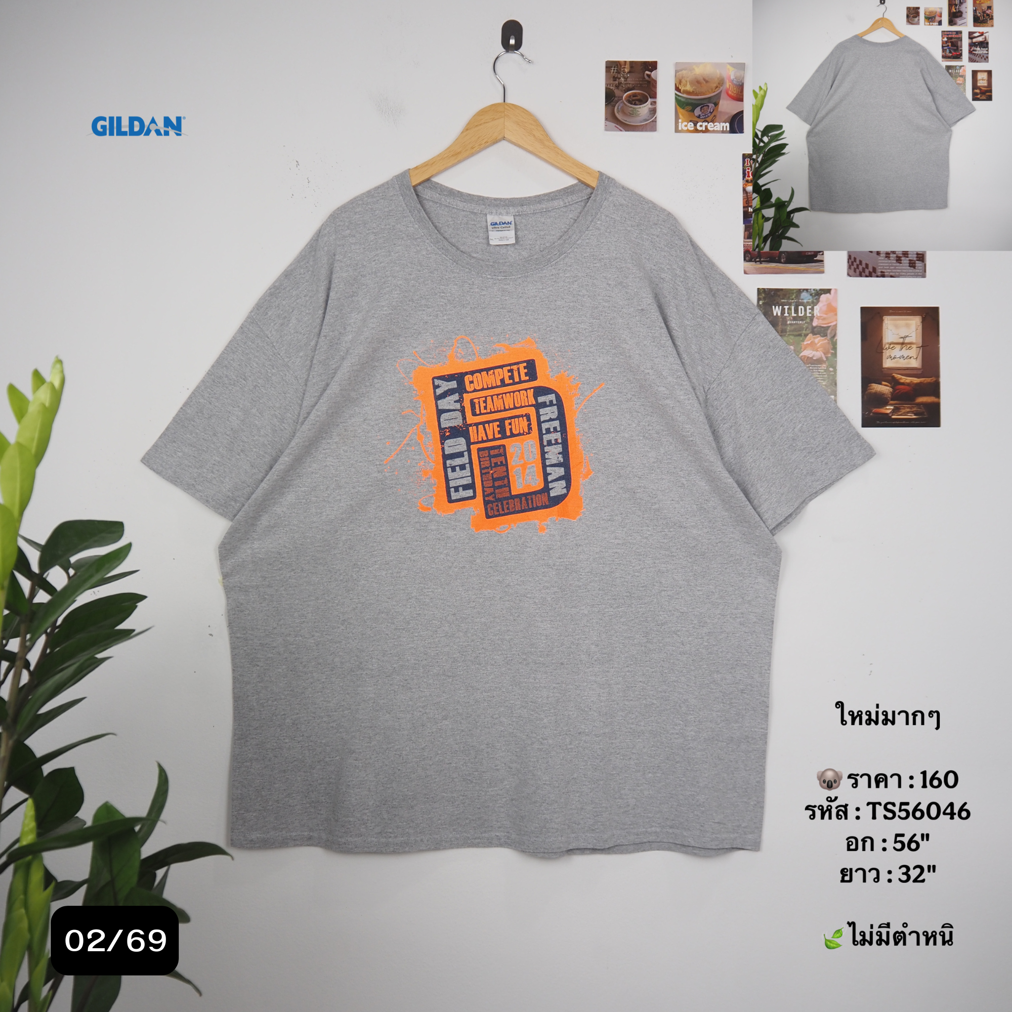 TS56046