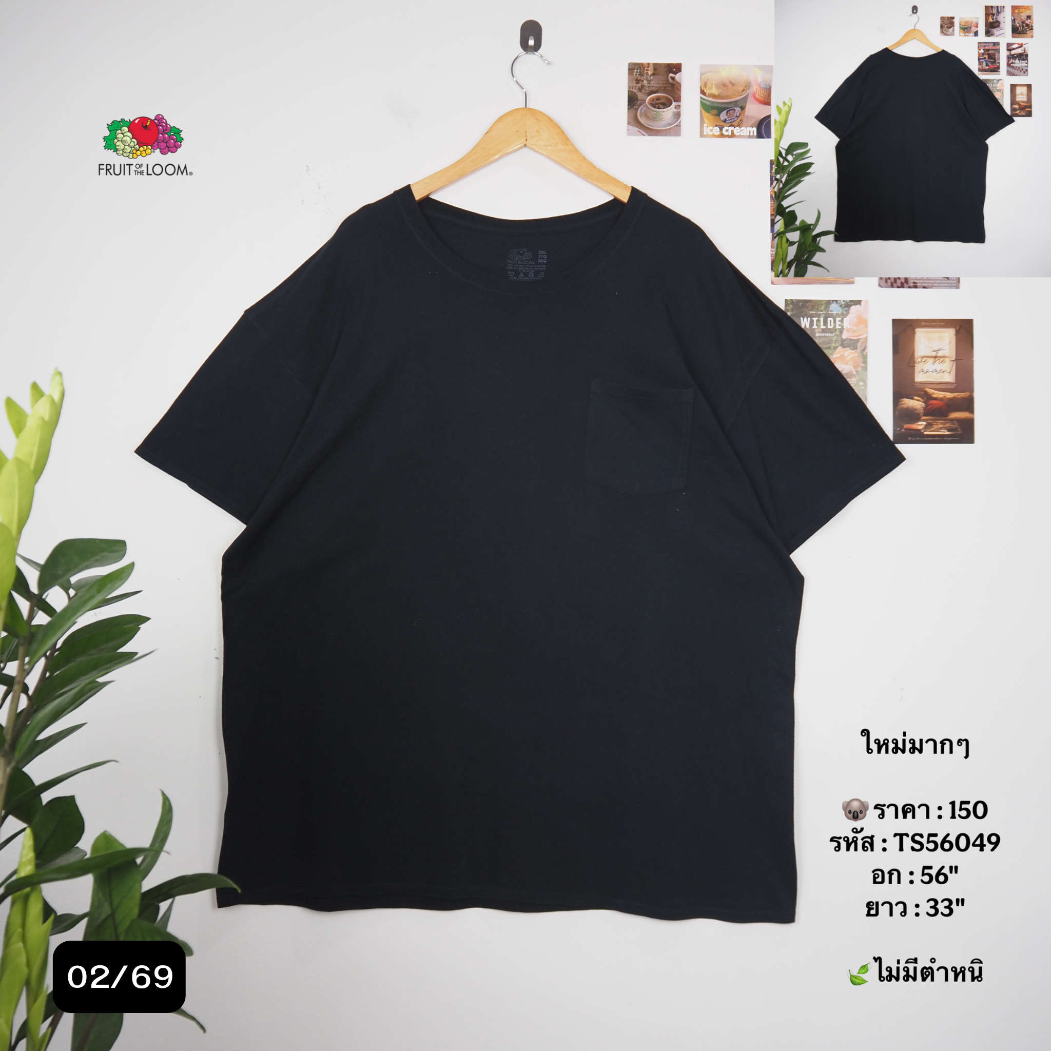 TS56049