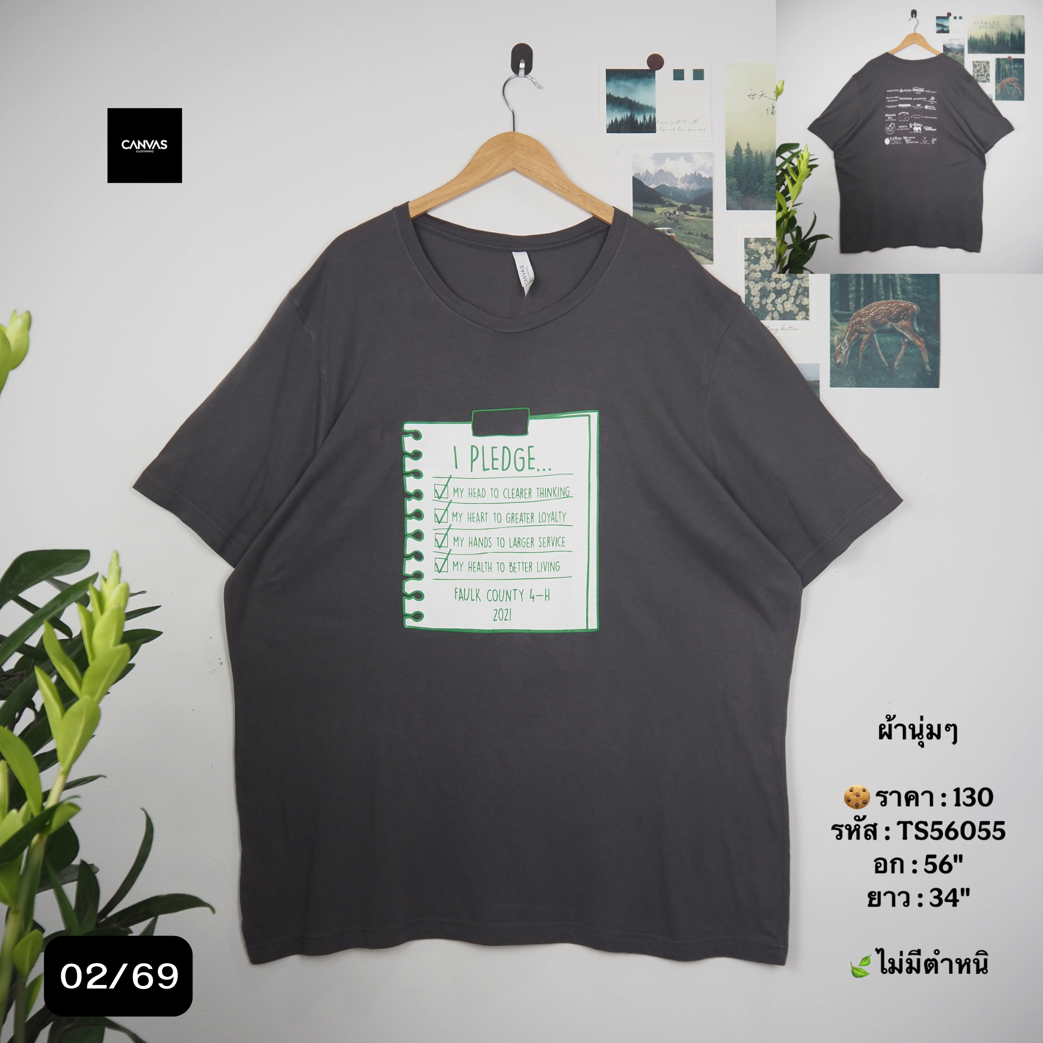 TS56055