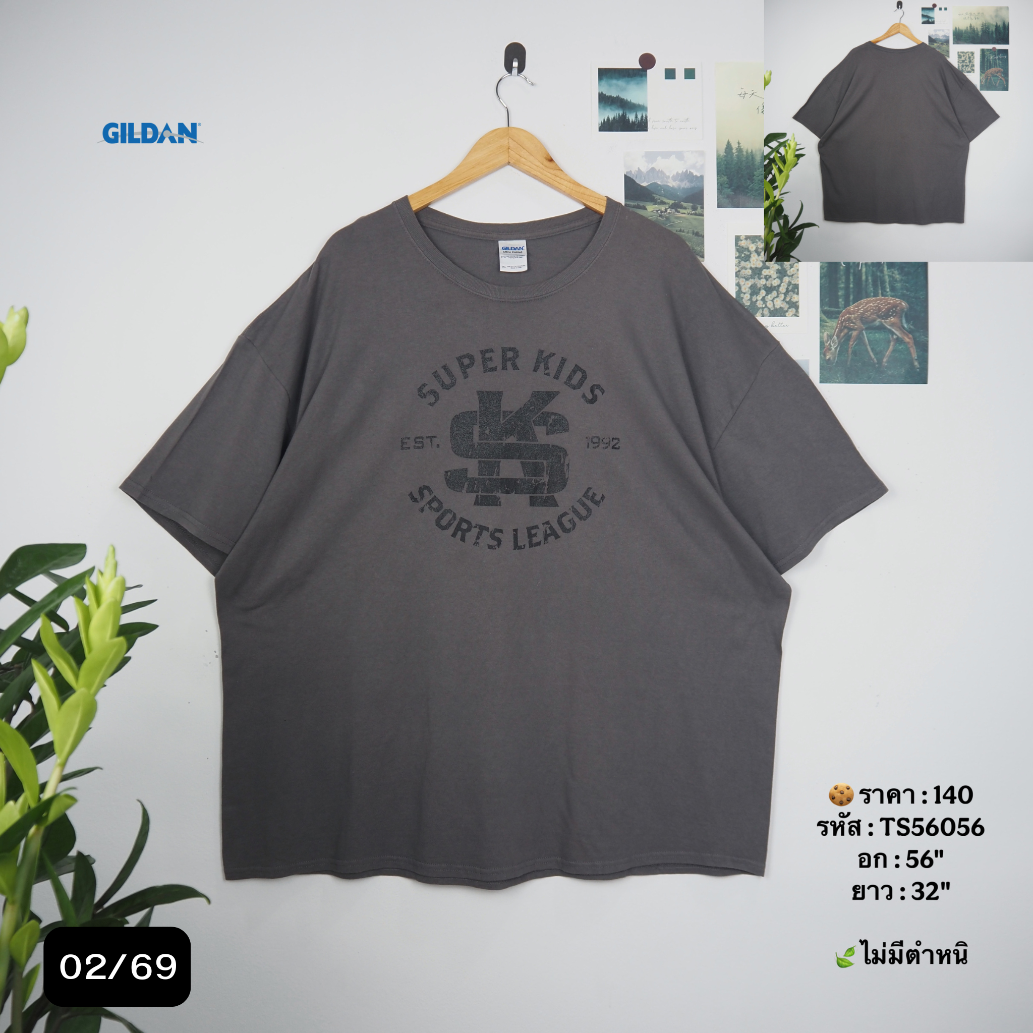 TS56056