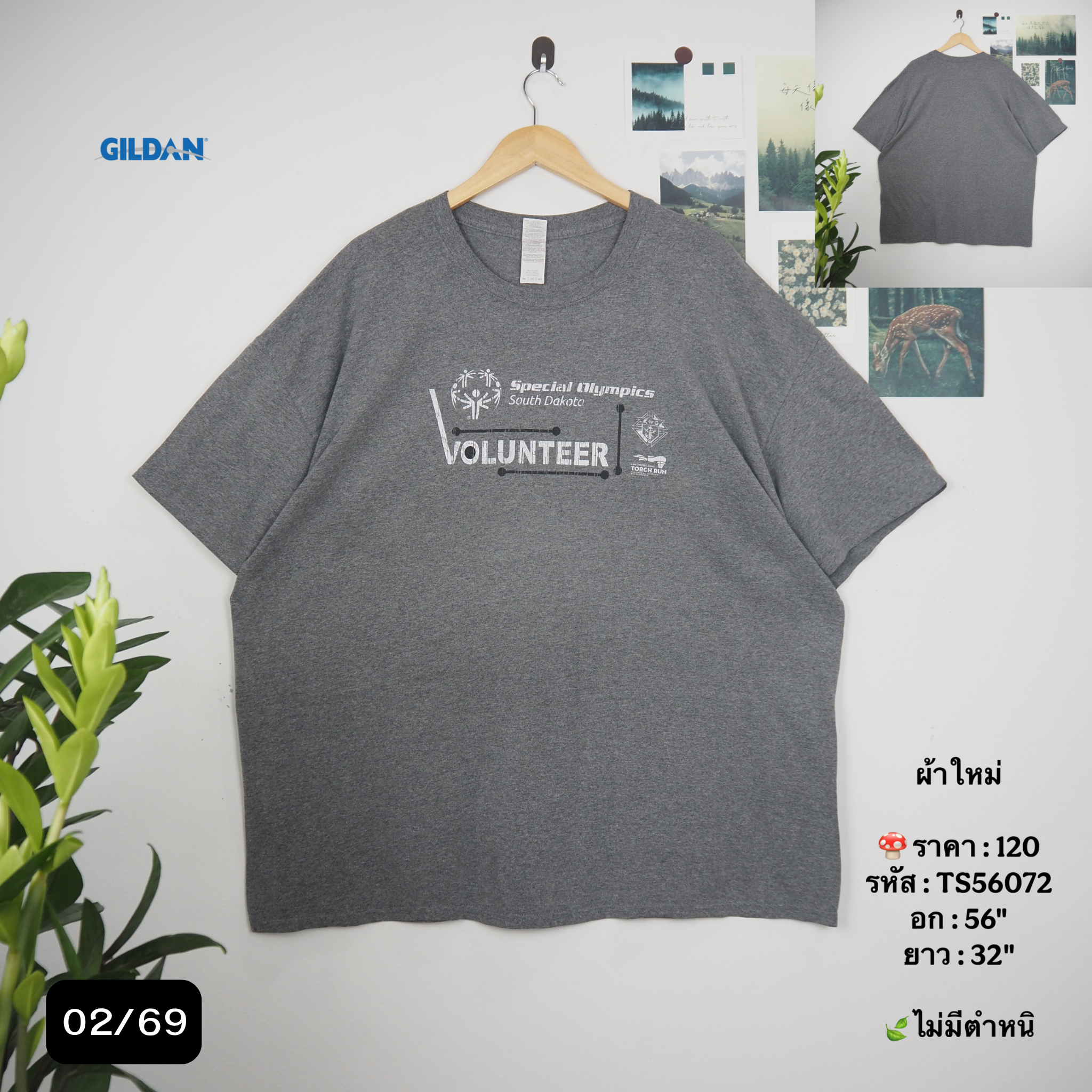 TS56072