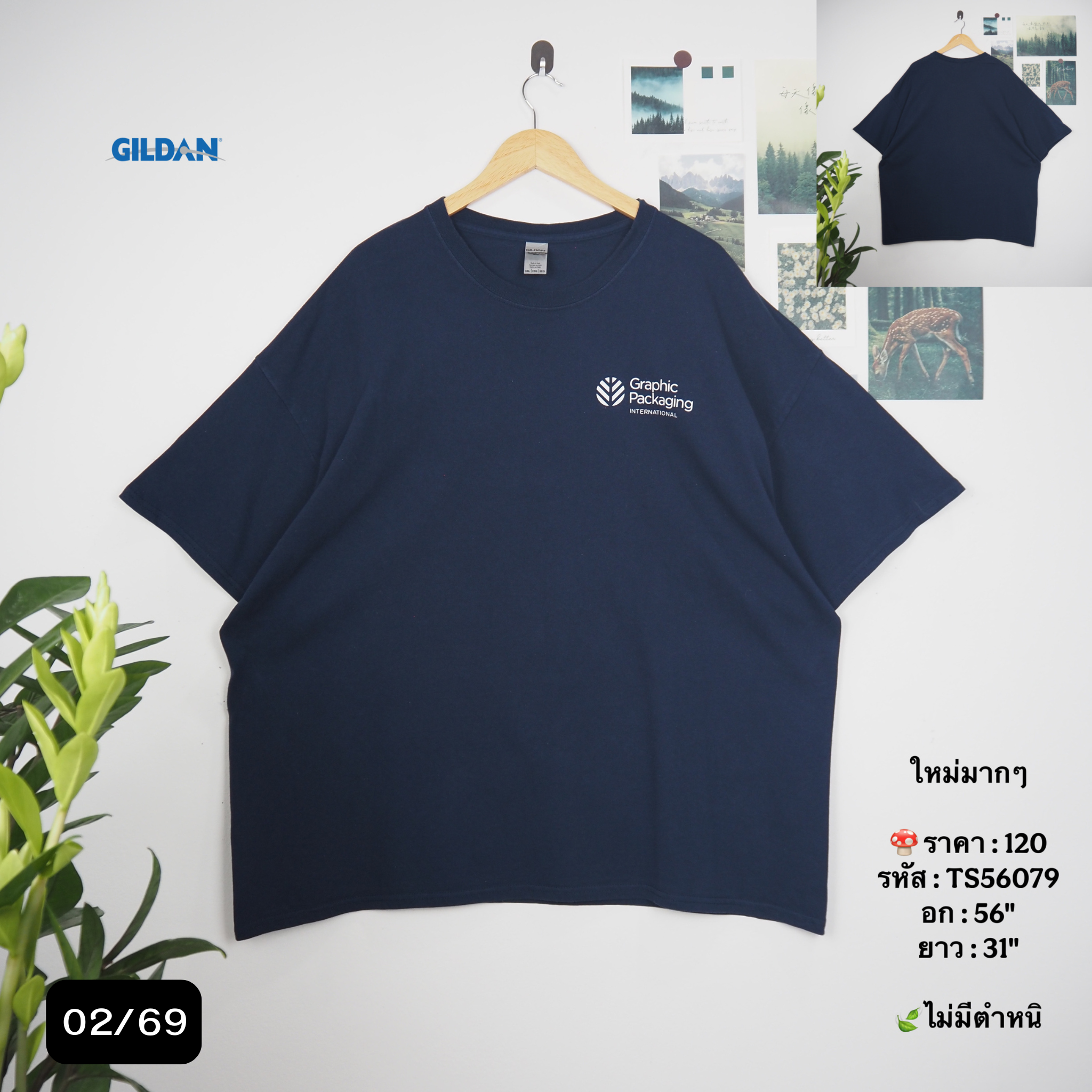 TS56079