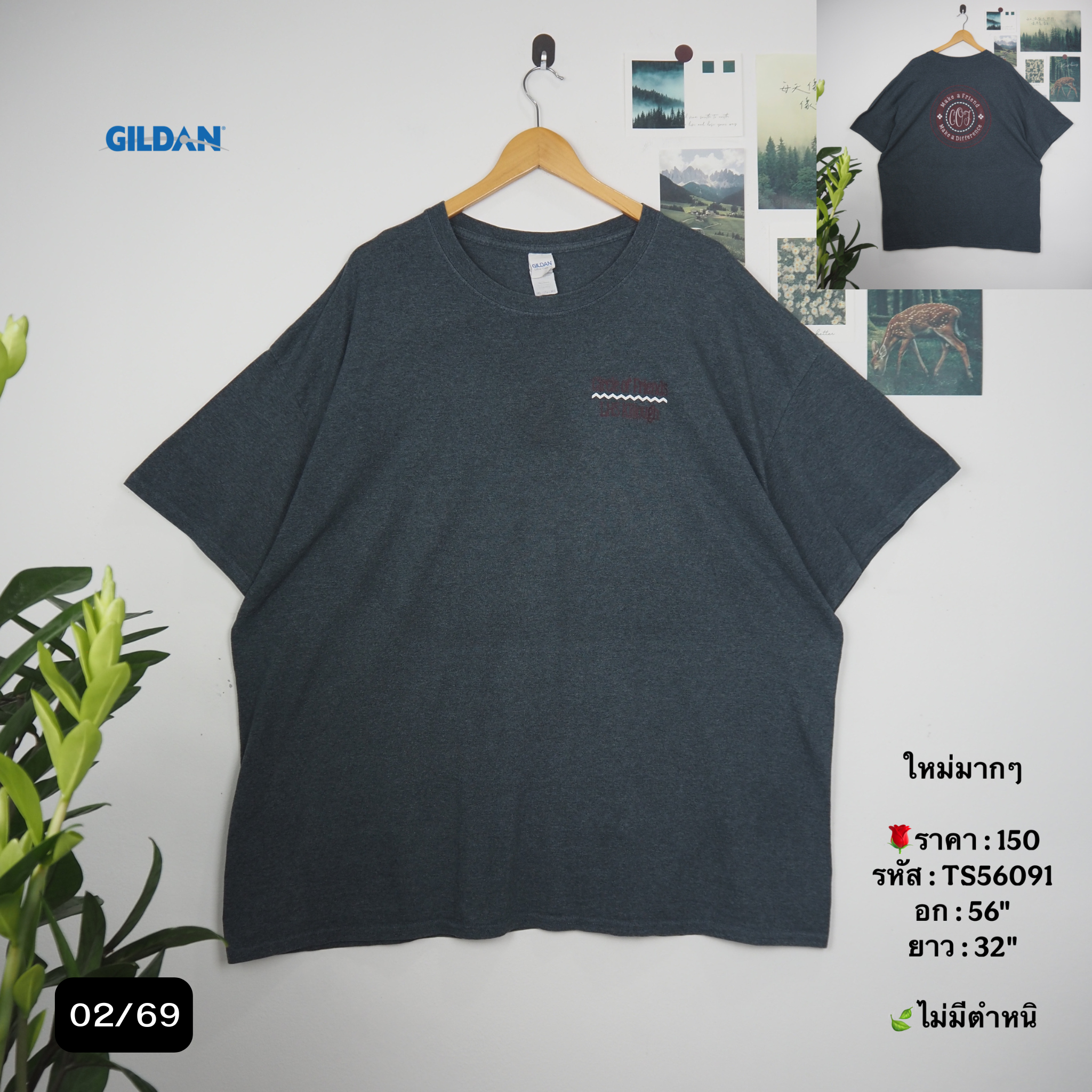TS56091