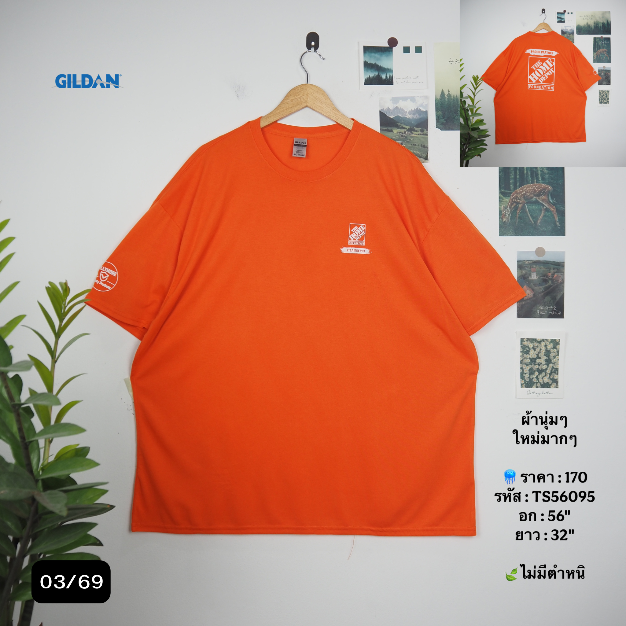TS56095