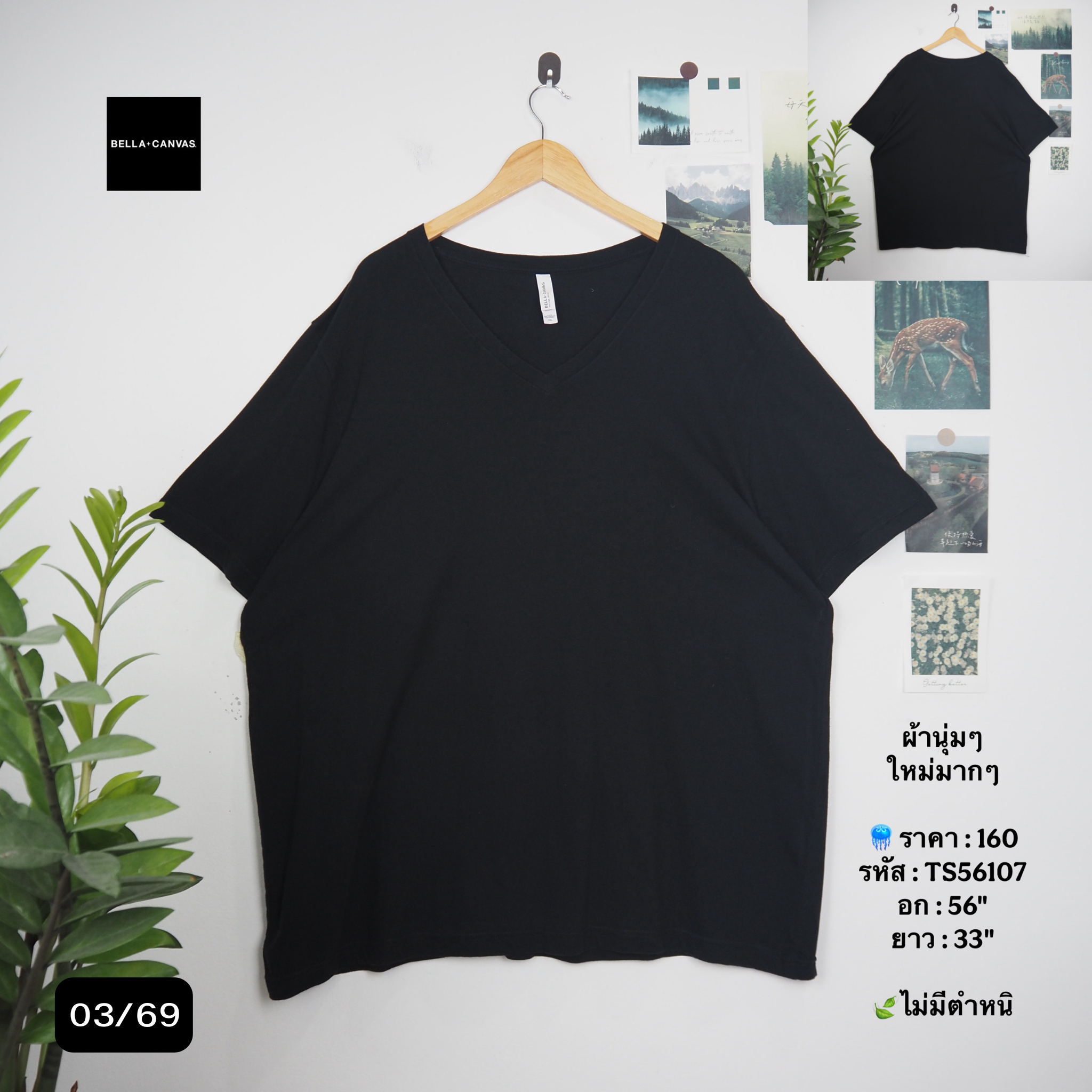 TS56107