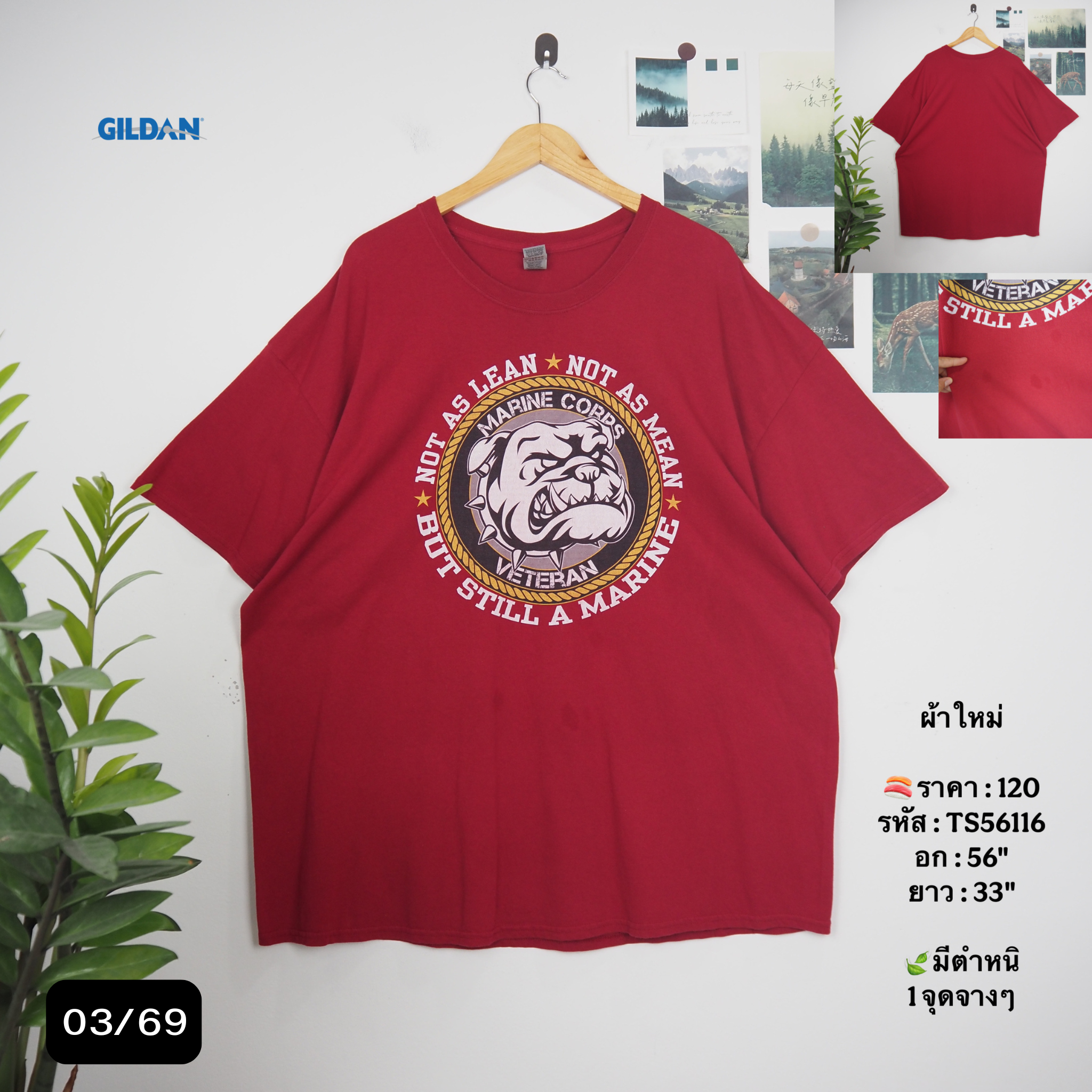 TS56116