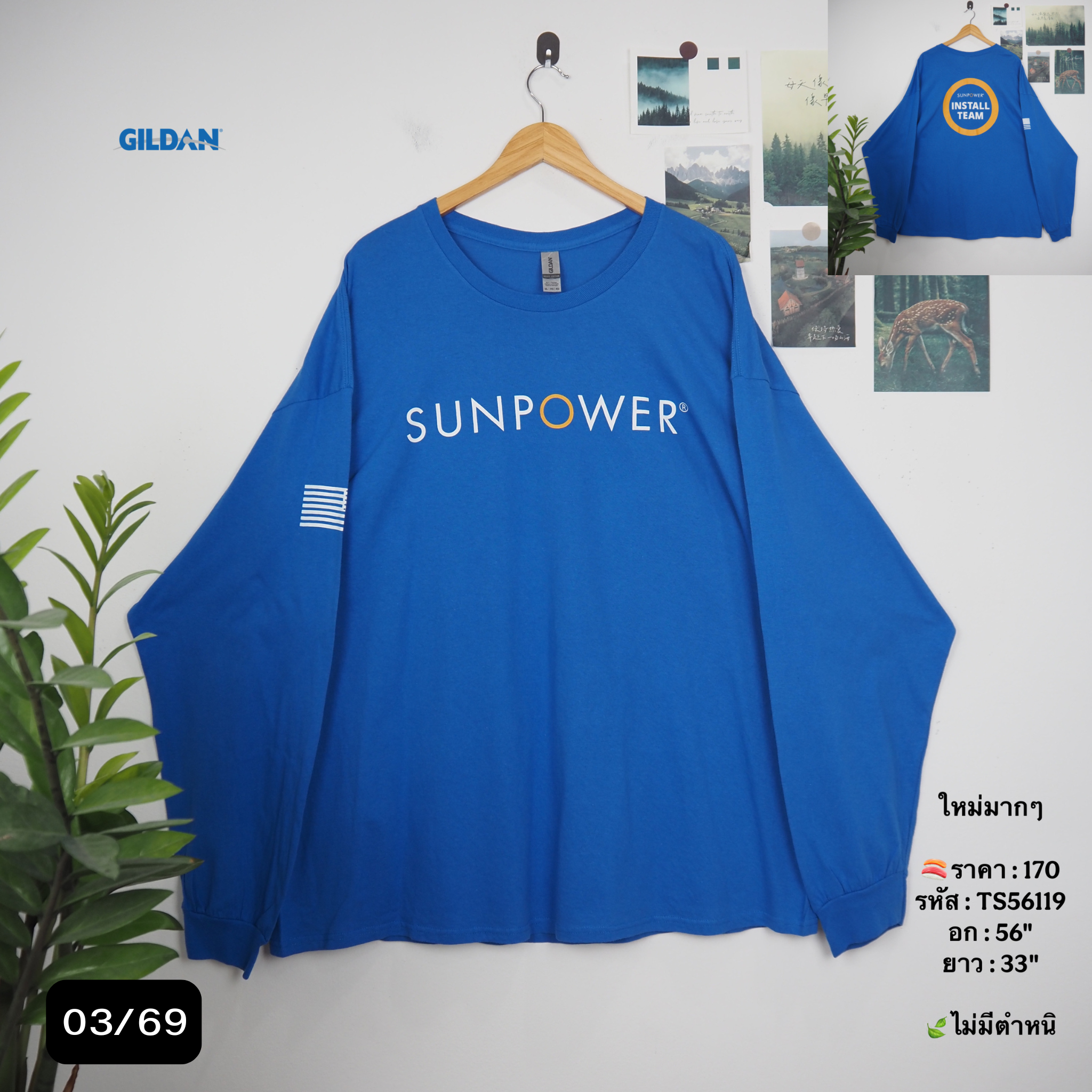TS56119