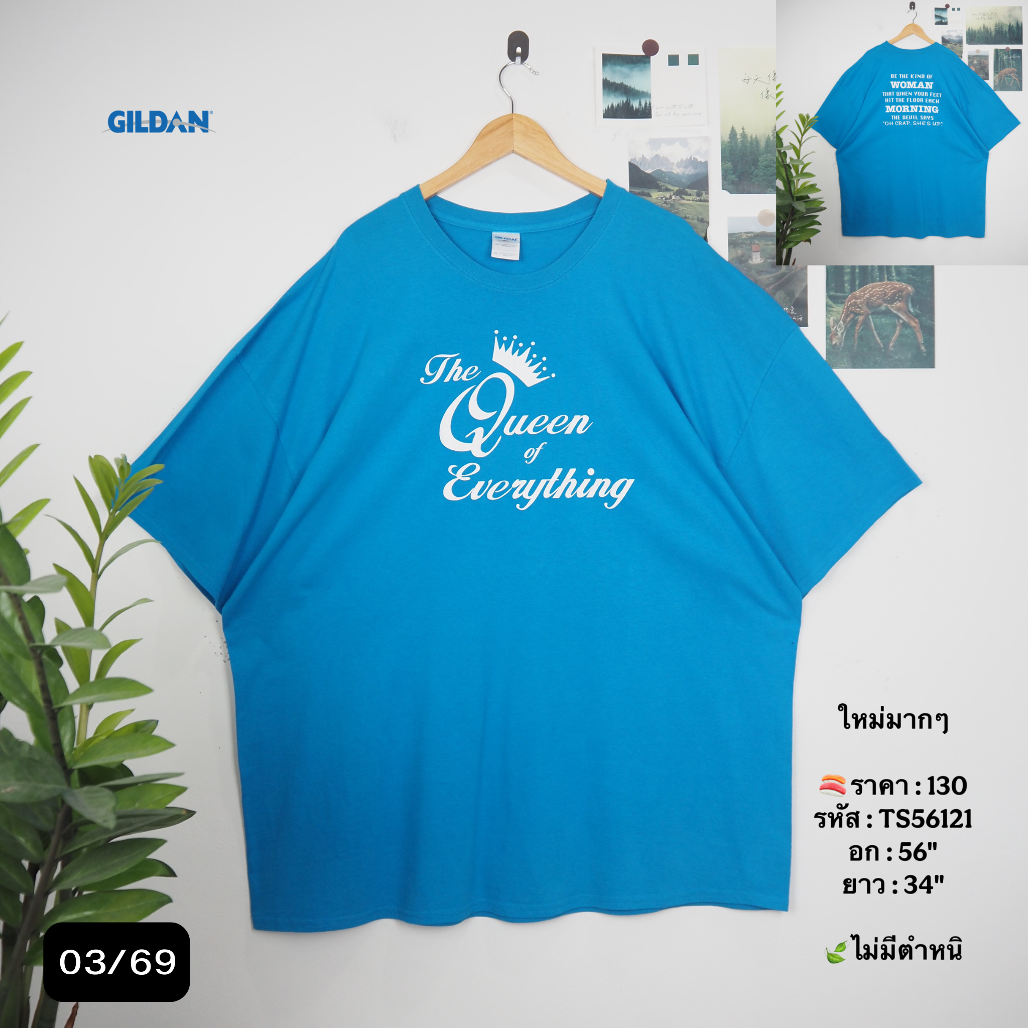 TS56121