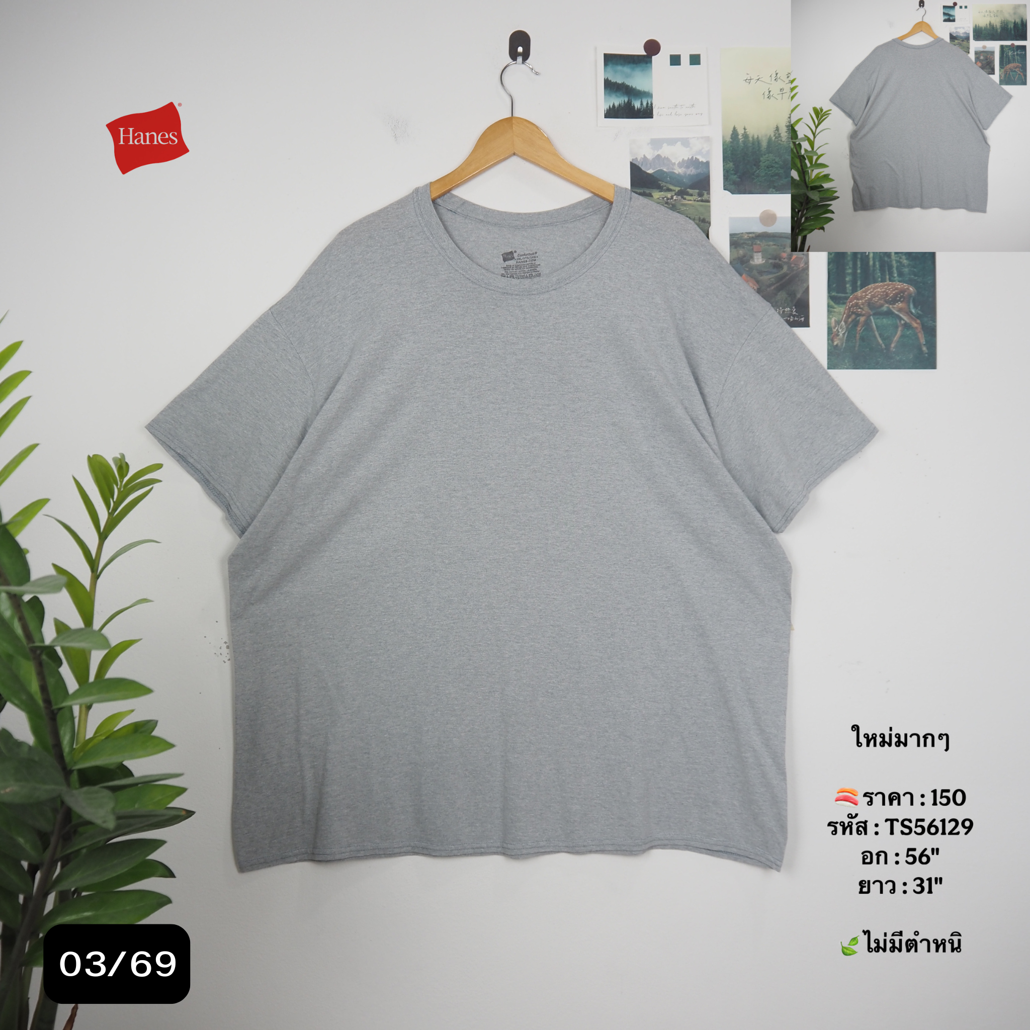 TS56129
