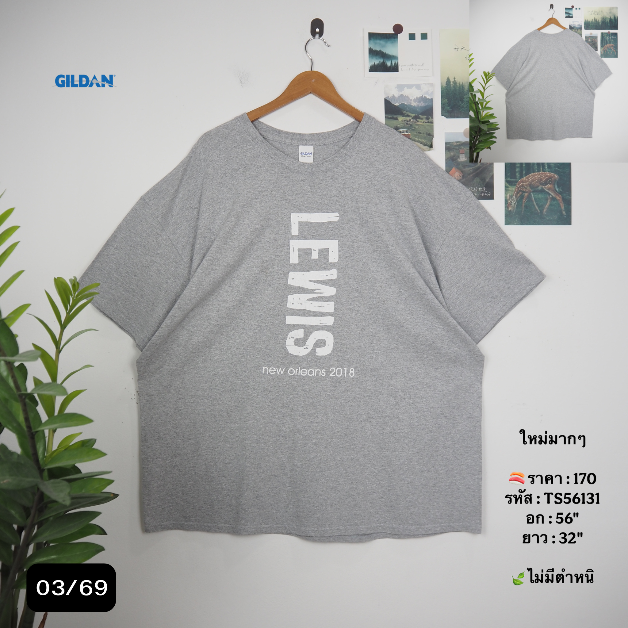 TS56131