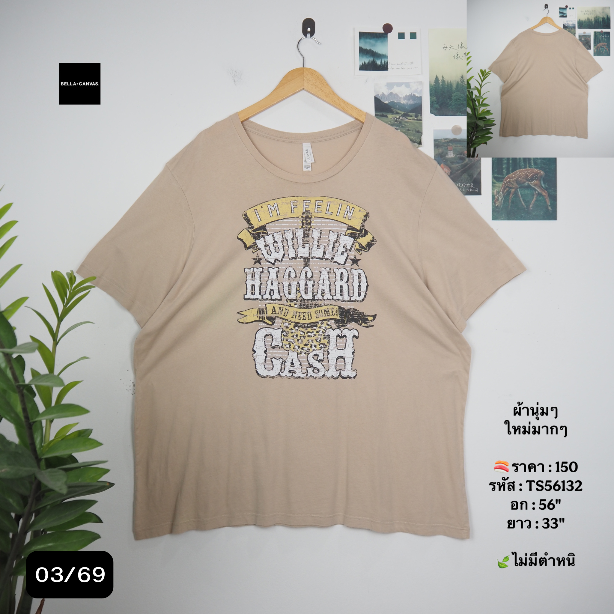 TS56132