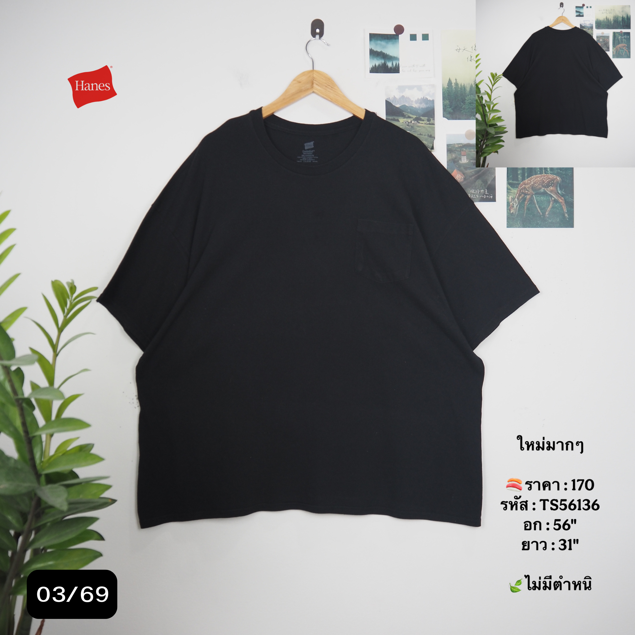 TS56136