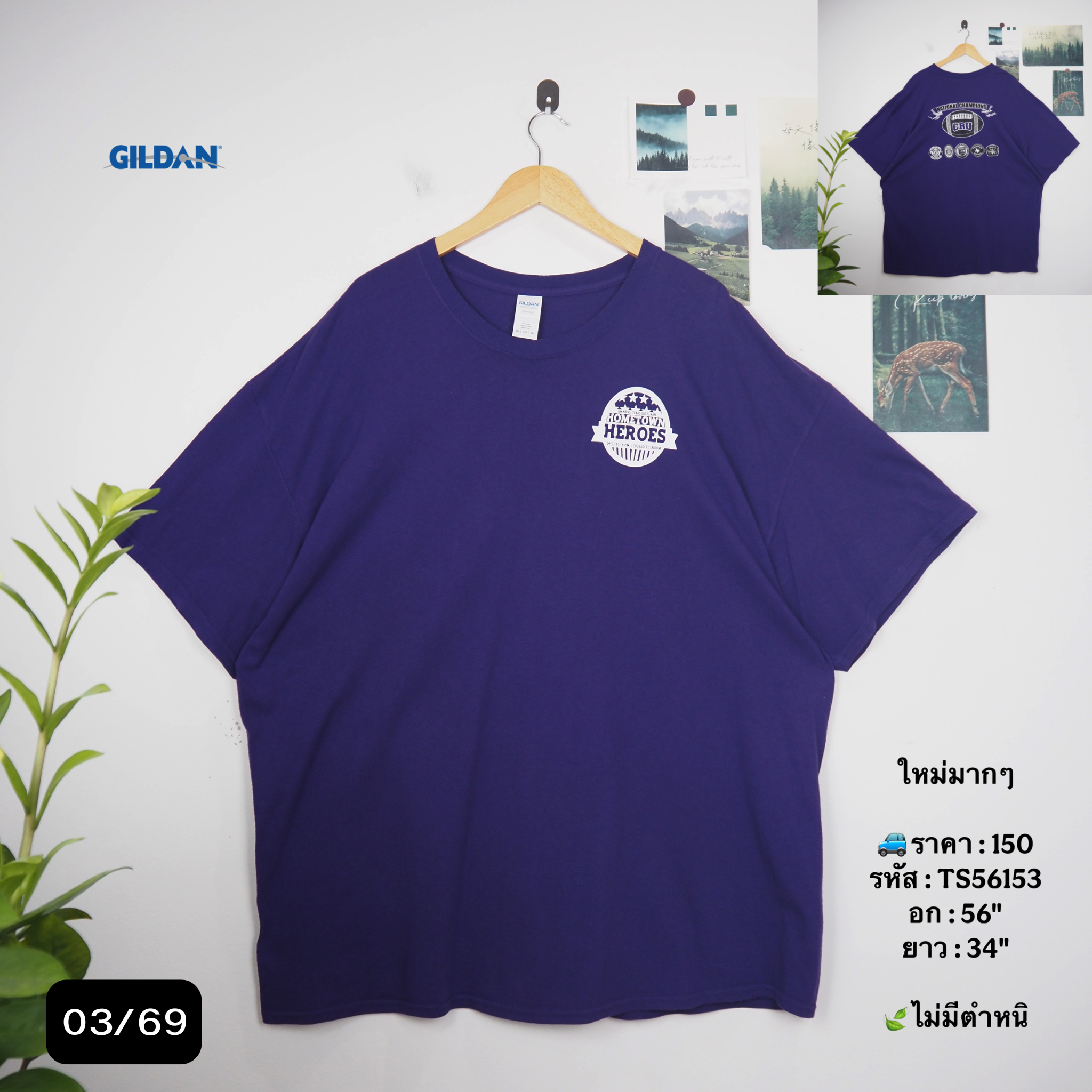 TS56153