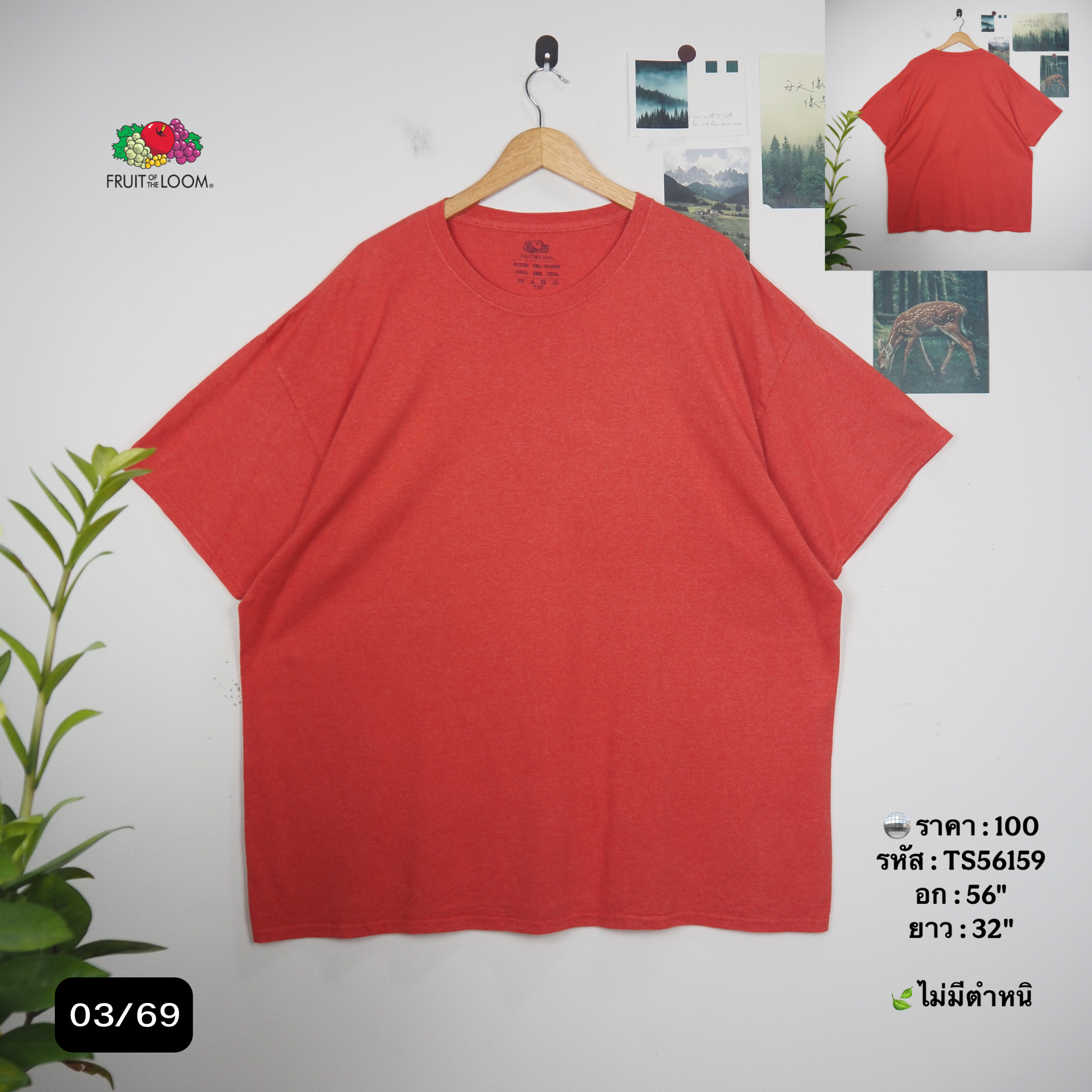 TS56159