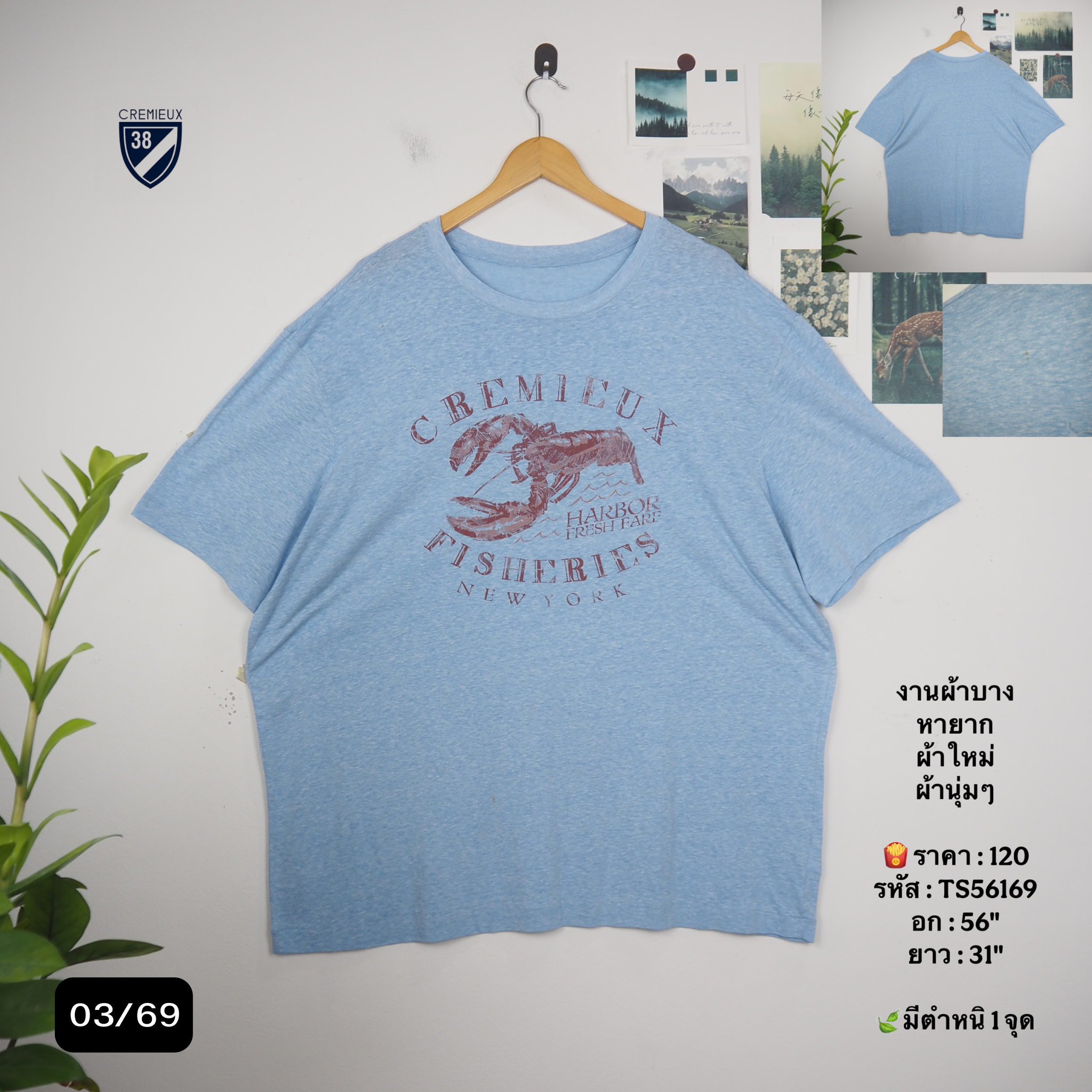 TS56169